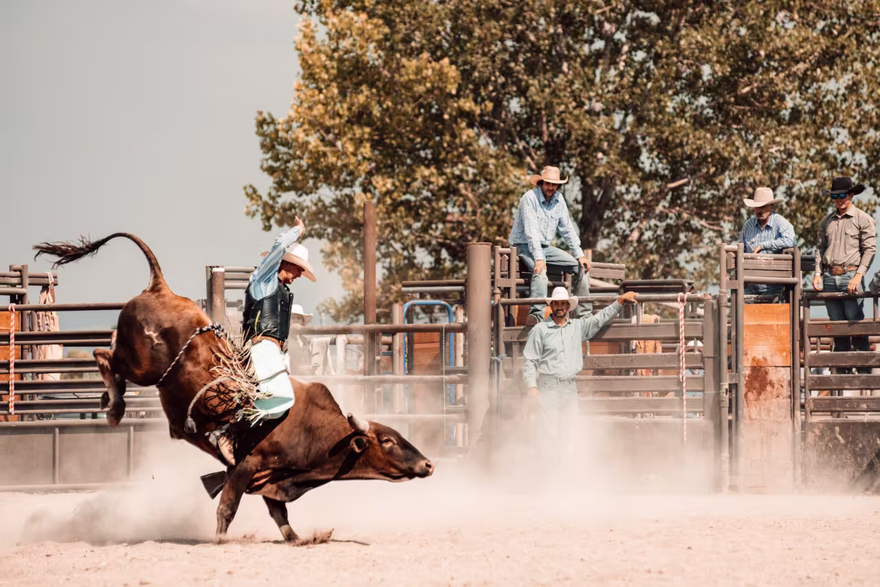 The bull market got a new lease on life — can it last?