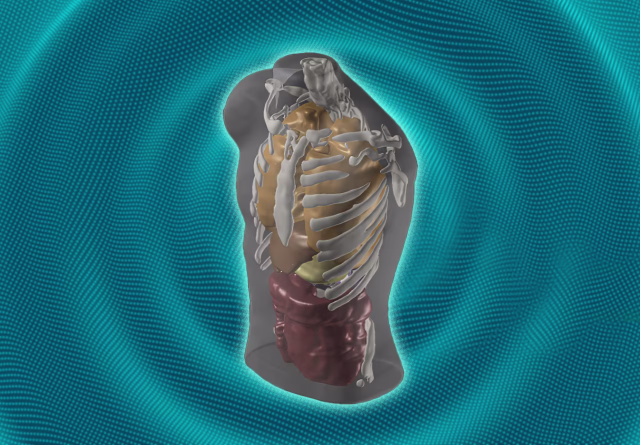 This AI company wants to replace MRIs with a 60-second dip in the spa. Can that really work?