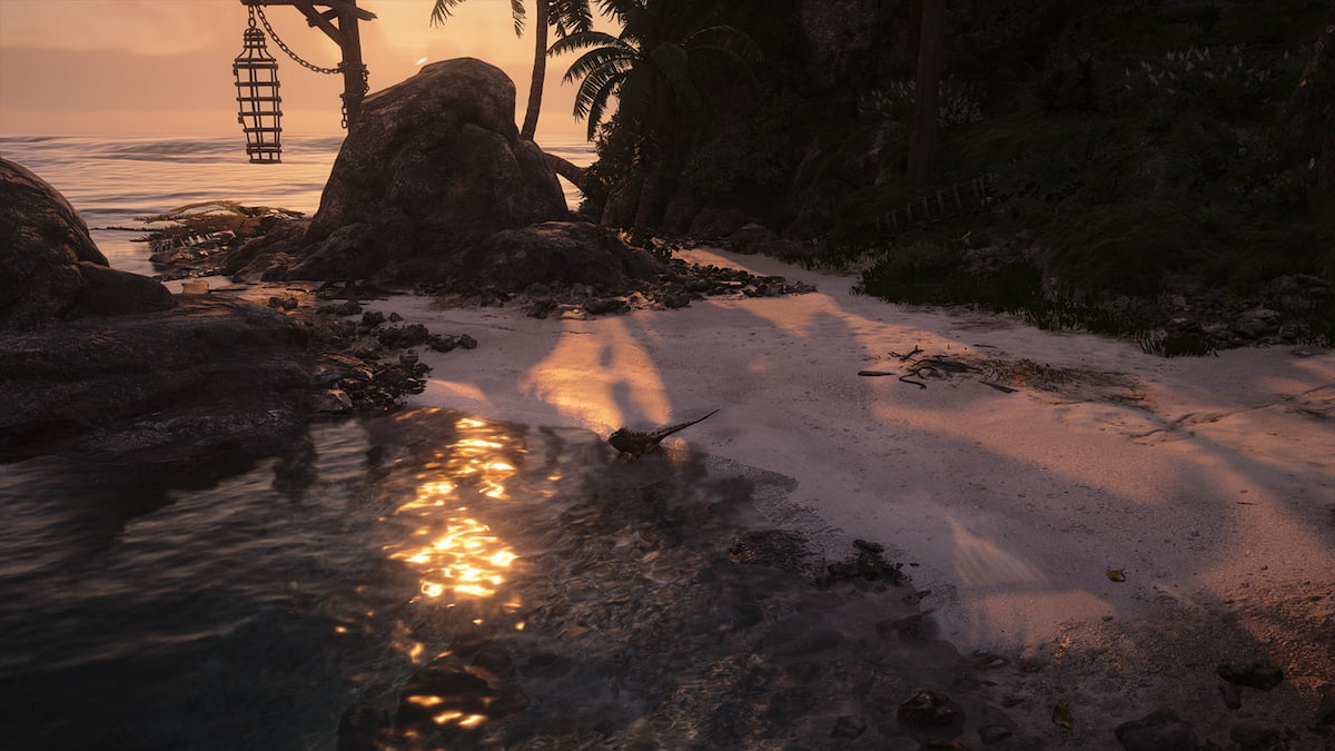 How to get Iguana Leather in Assassin’s Creed Black Flag Resynced