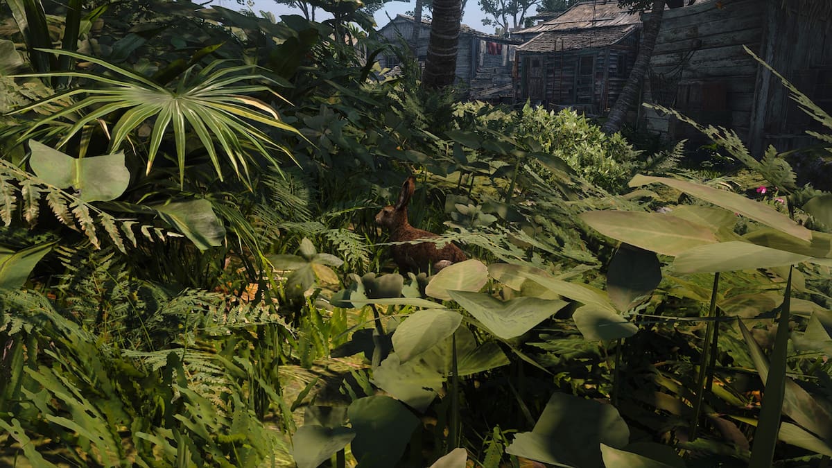 How to get Rabbit Pelt in Assassin’s Creed Black Flag Resynced