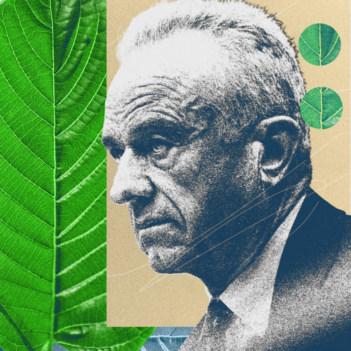 The Kratom Civil War Is Heating Up, and MAHA Has Picked a Side