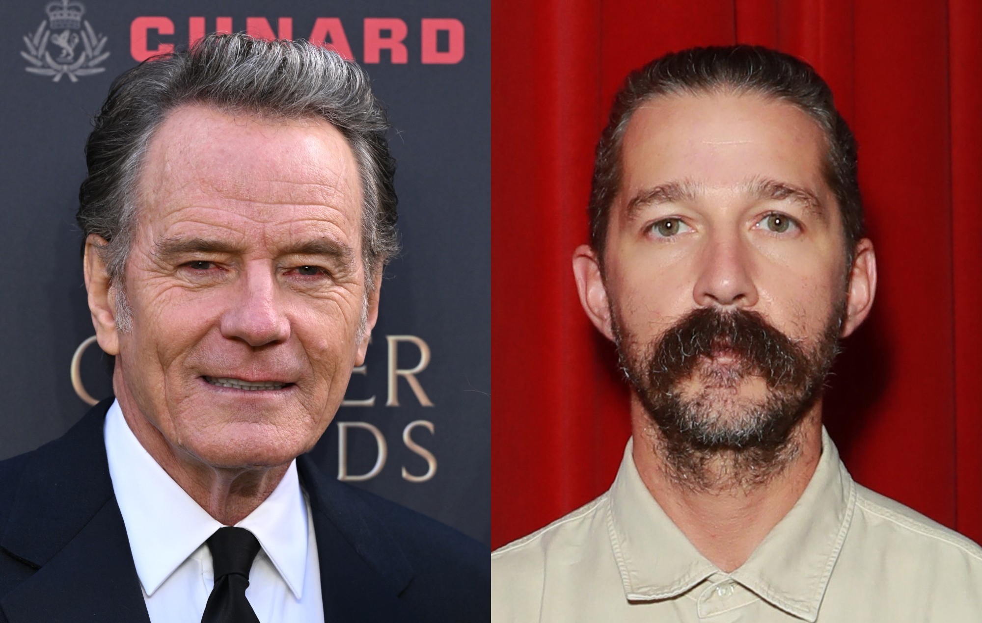 Bryan Cranston mocks Shia LaBeouf, tells him to &#8220;get some help&#8221;