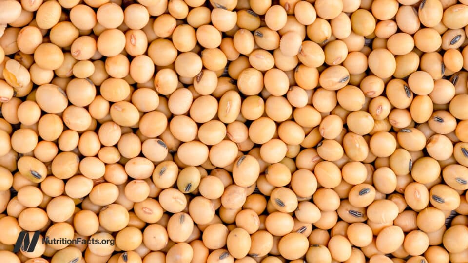 Does Less Protein Increase FGF21 for Longevity?