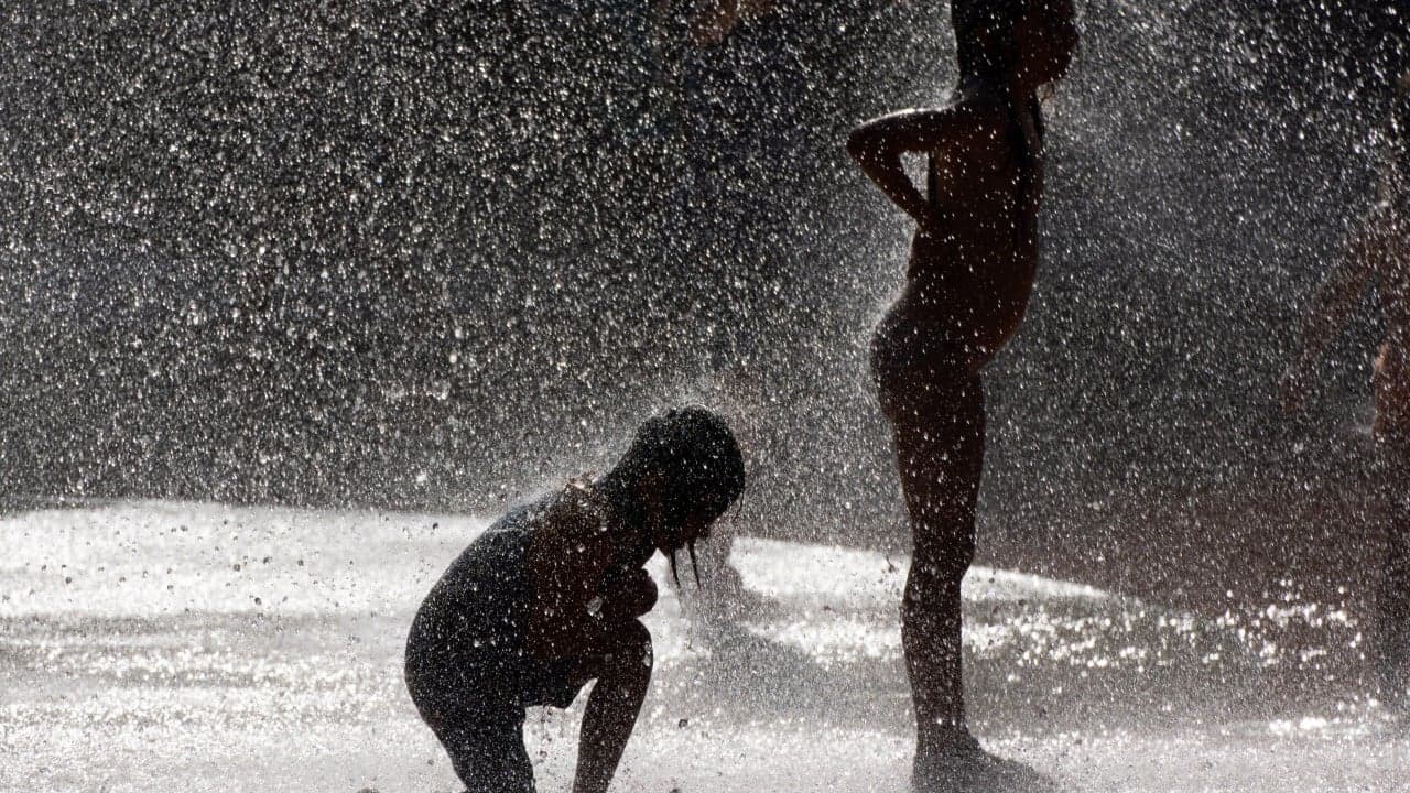 German deaths rise 32% during record June heatwave, data shows