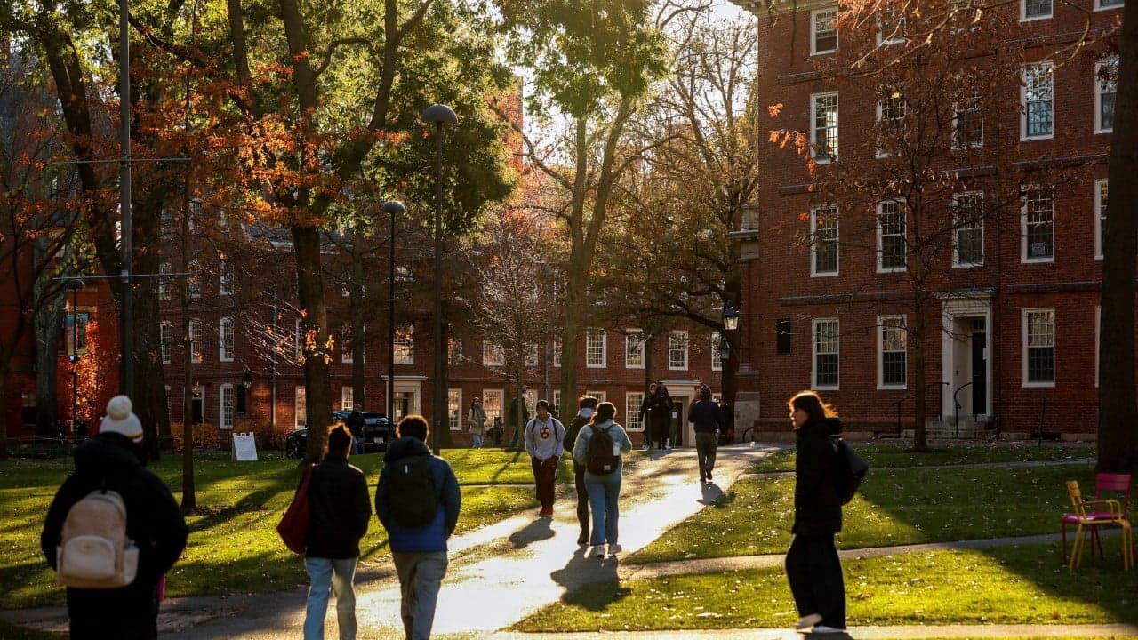 US Justice Department investigating whether Harvard aid programmes are discriminatory