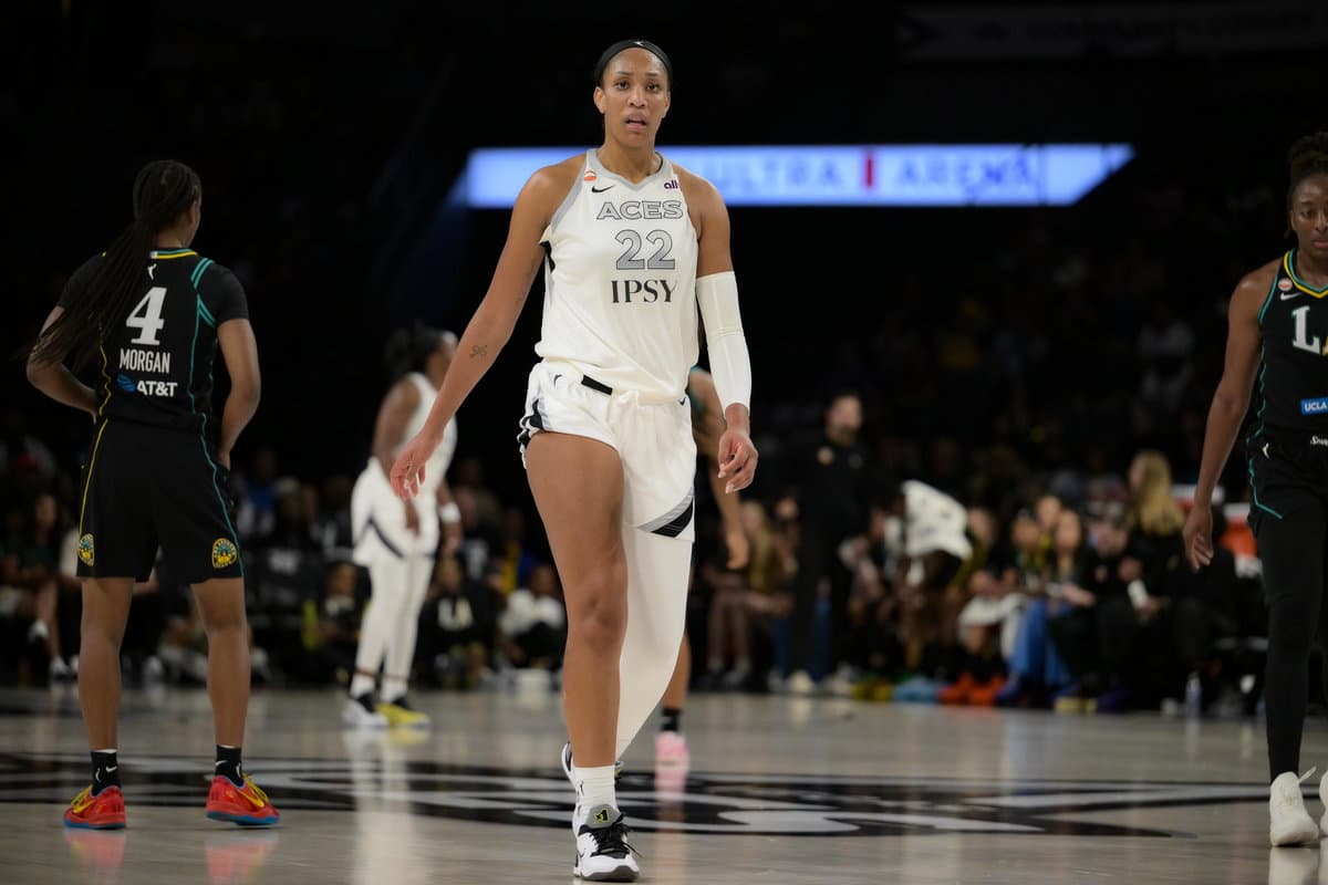 Lip Reader Catches What A’ja Wilson & Indiana Fever Fan Said in Heated Confrontation During Playoff Game