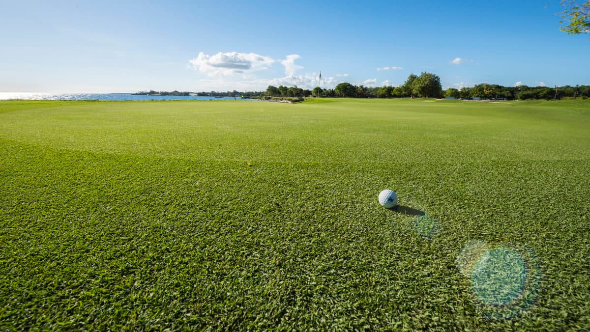 Over 30-Year-Old Public Golf Course Sacrificed for $10.5 Billion AI Data Center Project