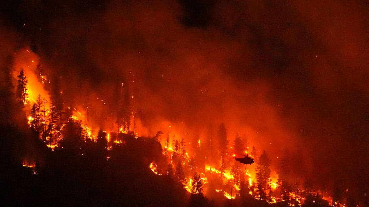 Trump blames mismanagement for the Canadian wildfires. This new study shows the real cause