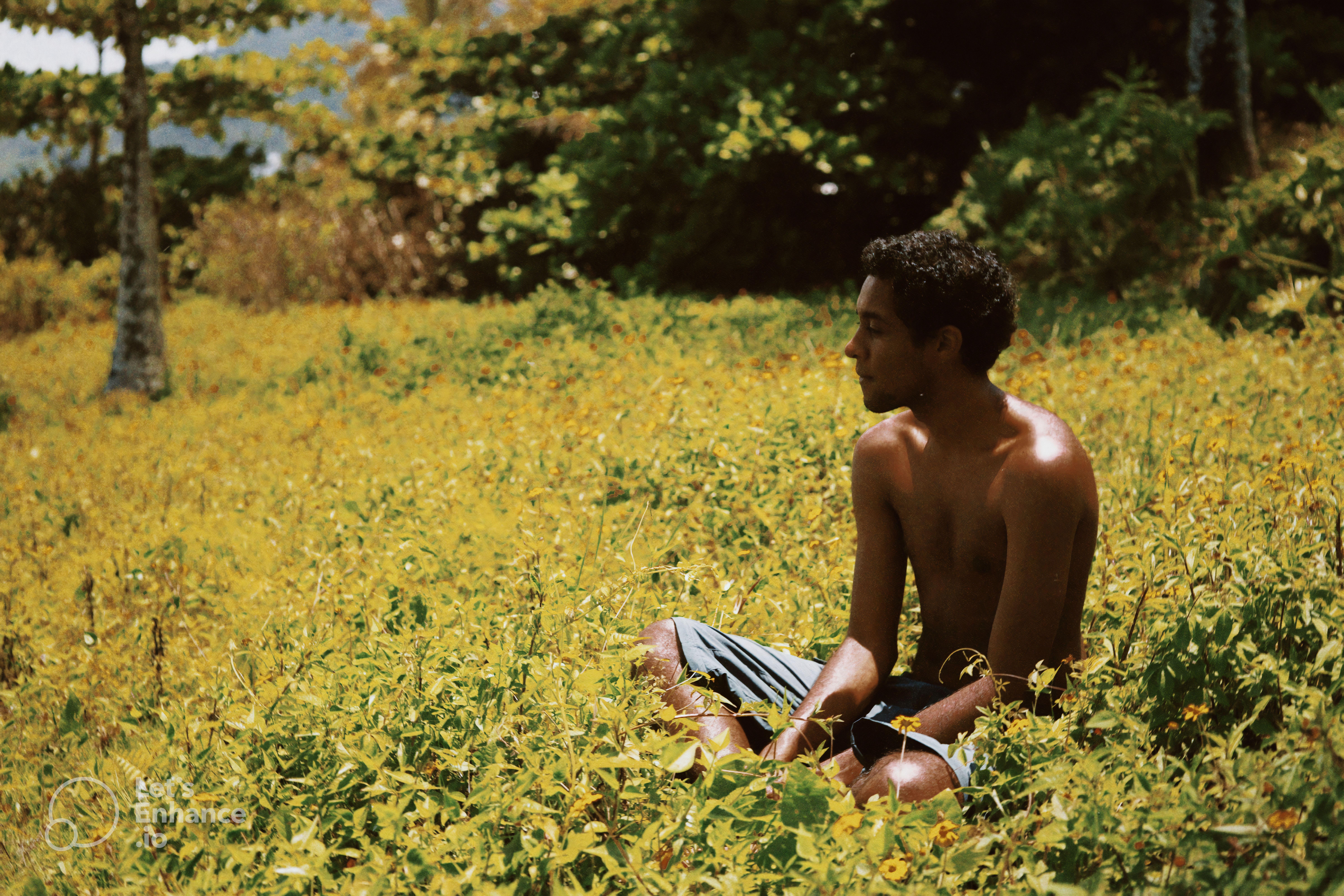 Shirtless man sitting in a sunny meadow surrounded by wildflowers.