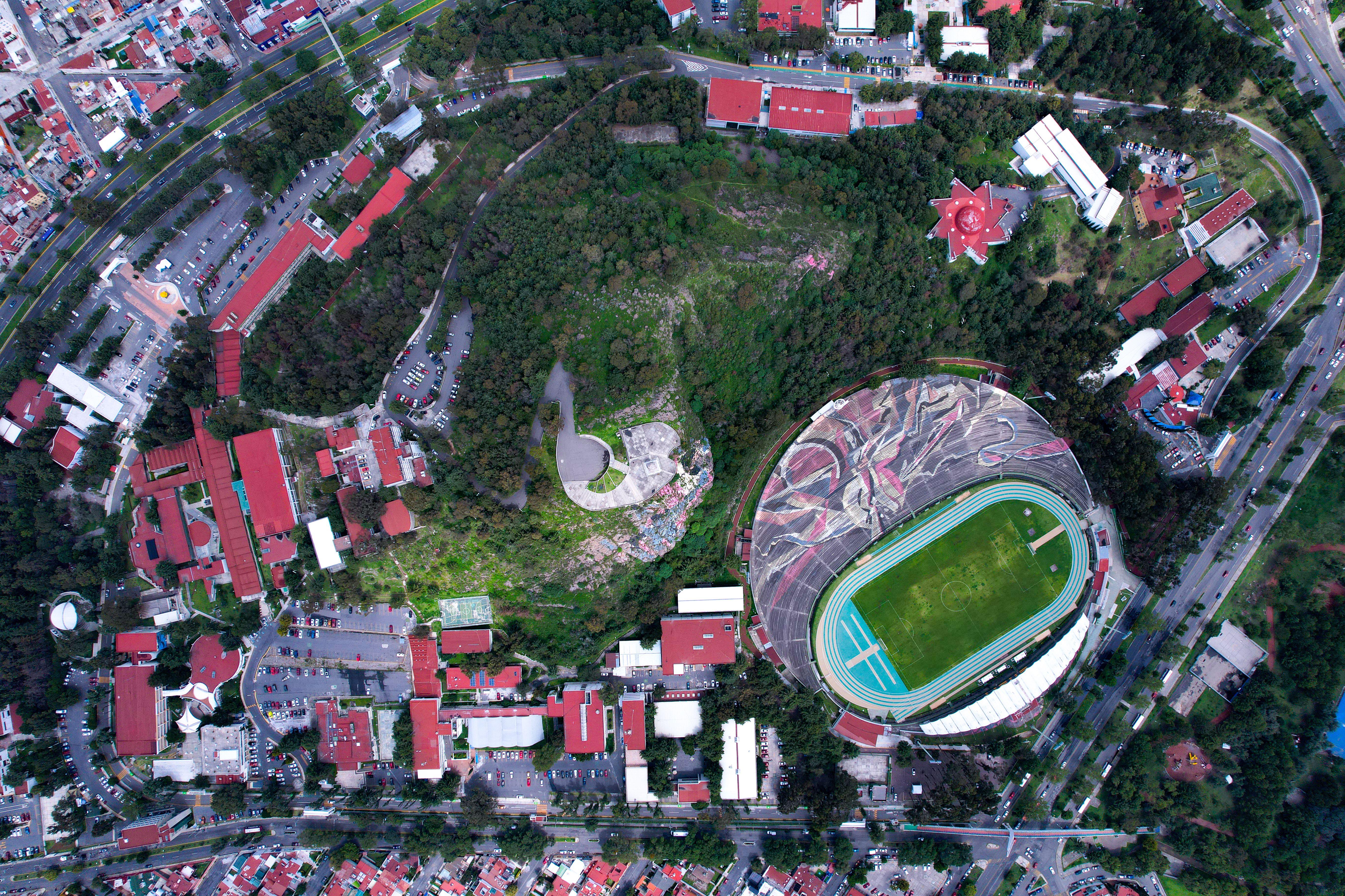 Aerial view of a city stadium encircled by lush greenery and urban architecture.