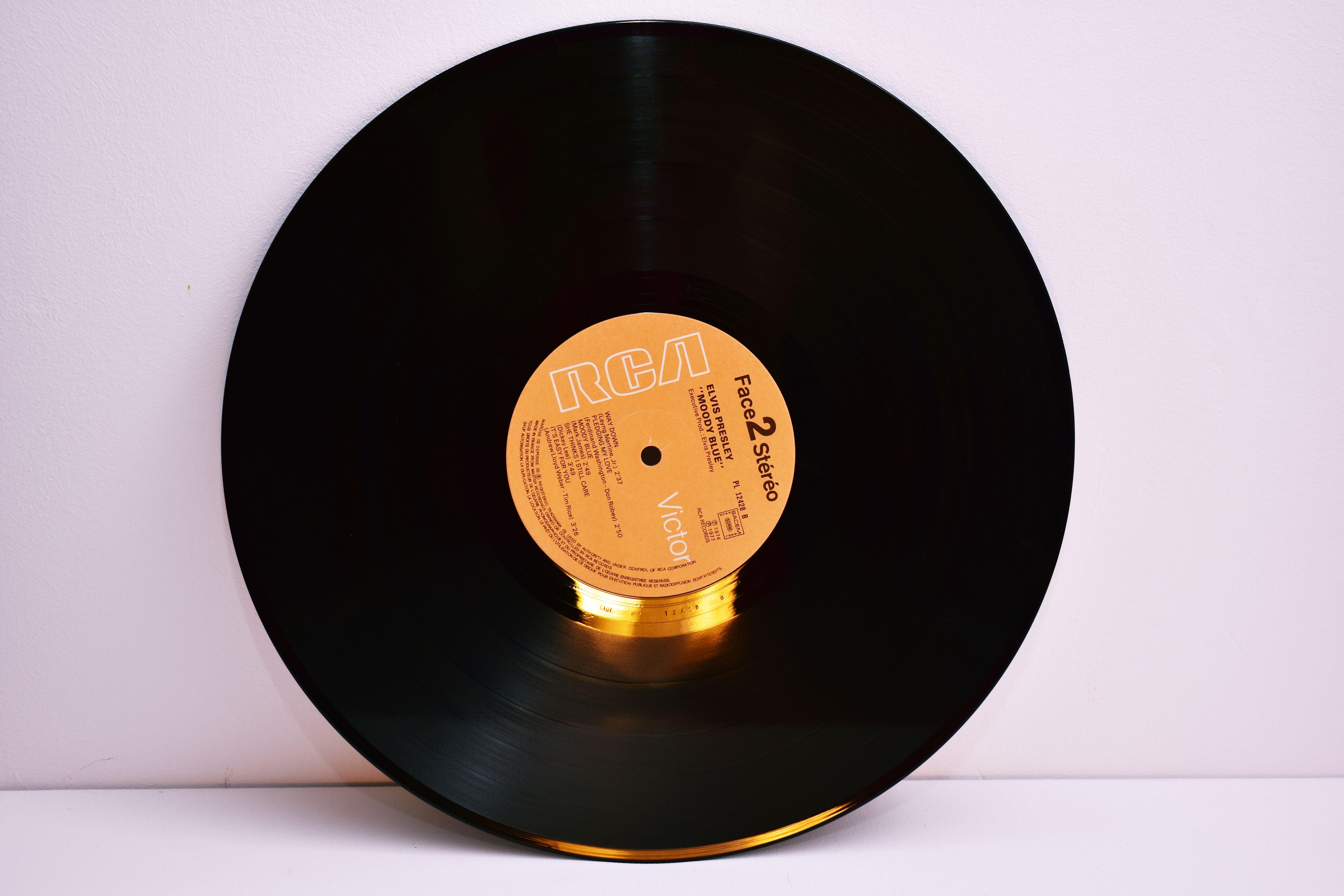 Close-up of a classic RCA labeled vinyl record on a white background.