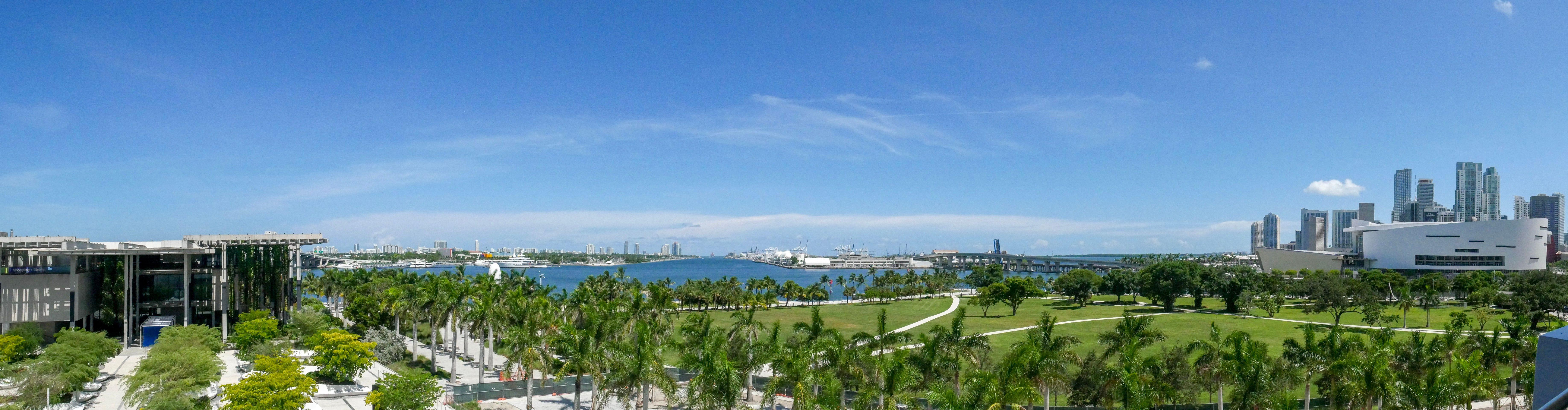 Discover the vibrant Miami skyline overlooking lush green parks and clear blue skies.