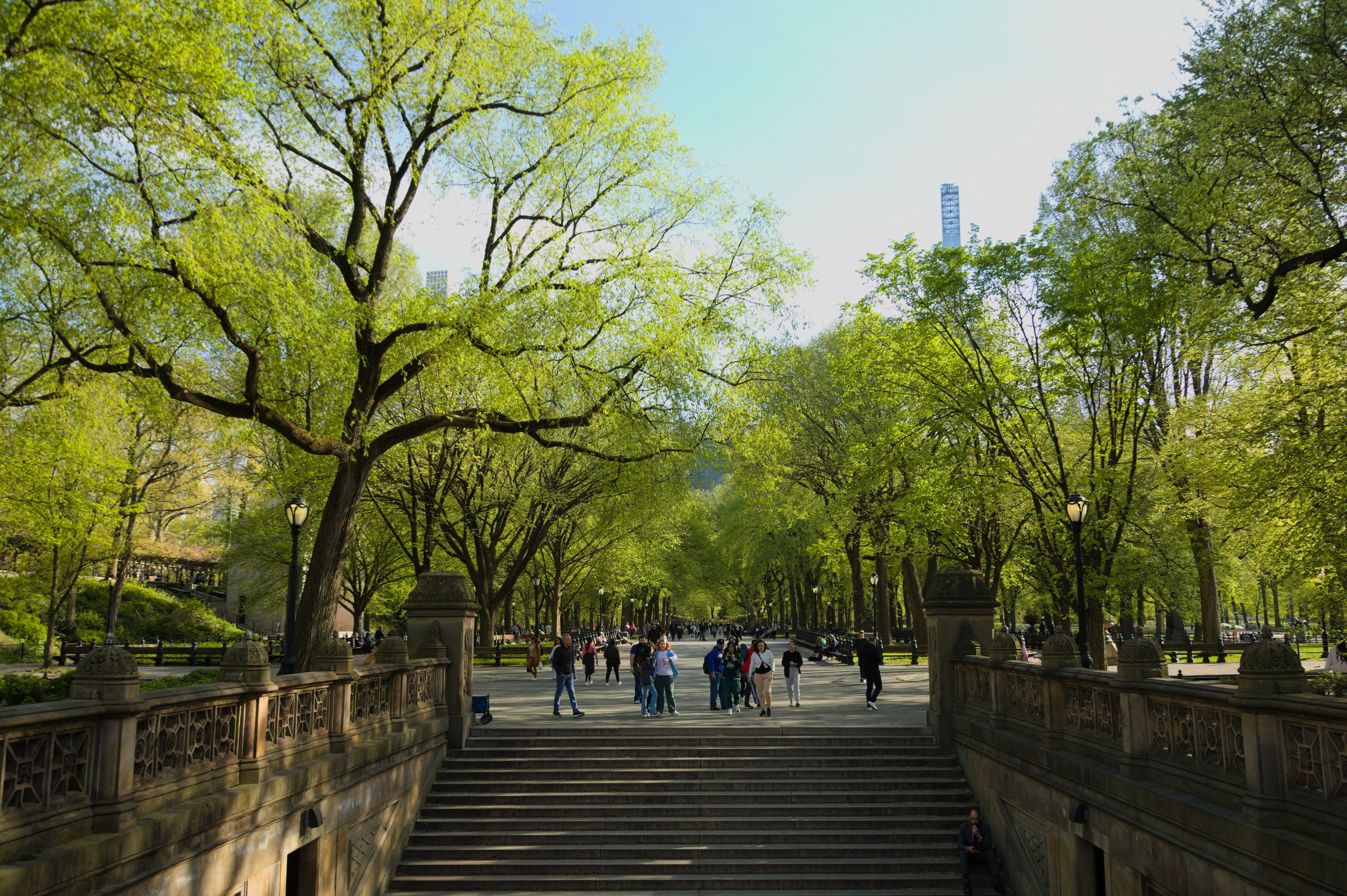 A serene view of Central Park's iconic walkway with people enjoying a spring day in New York City.