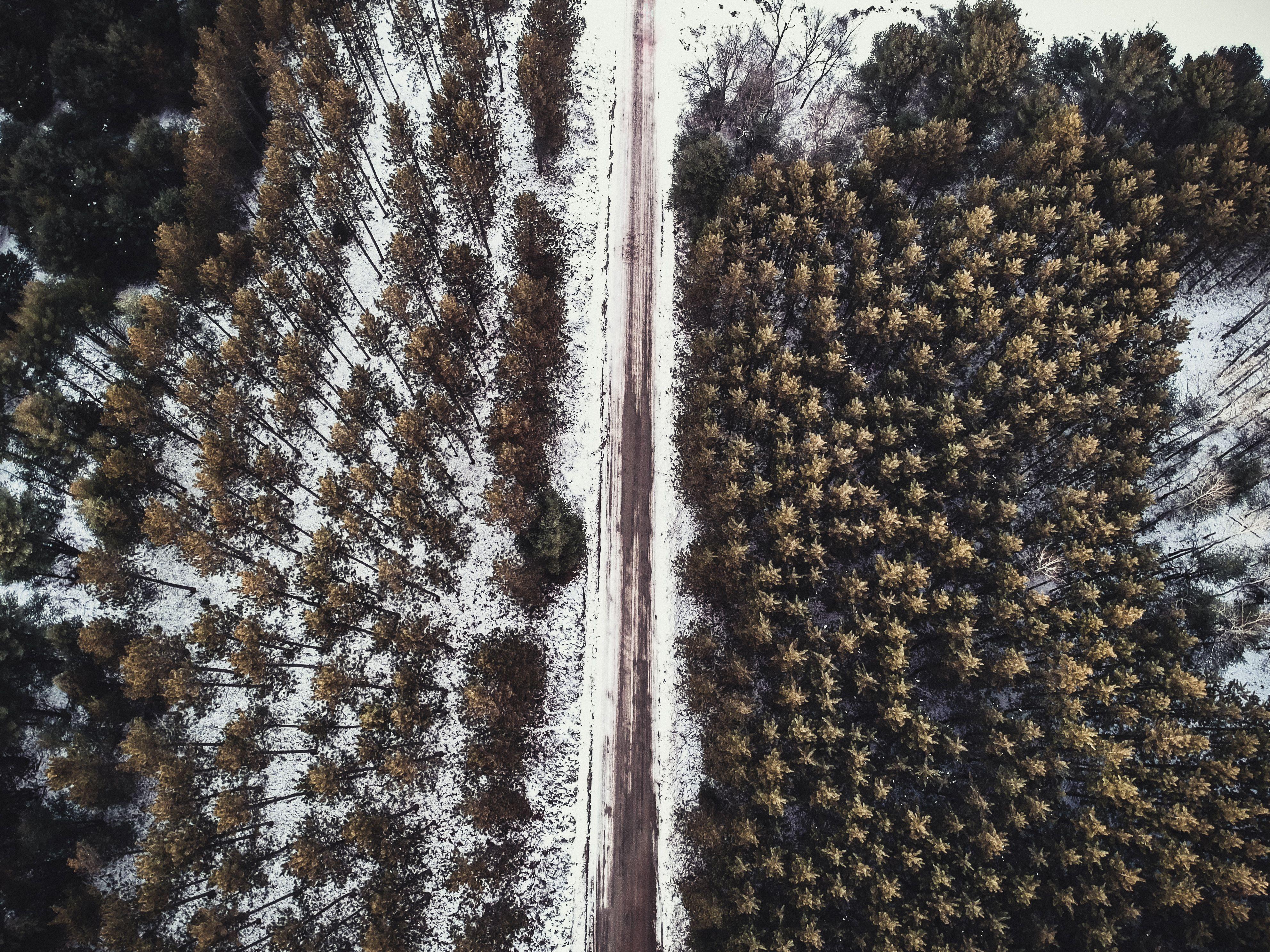 A stunning aerial view of a snowy forest split by a road in winter.