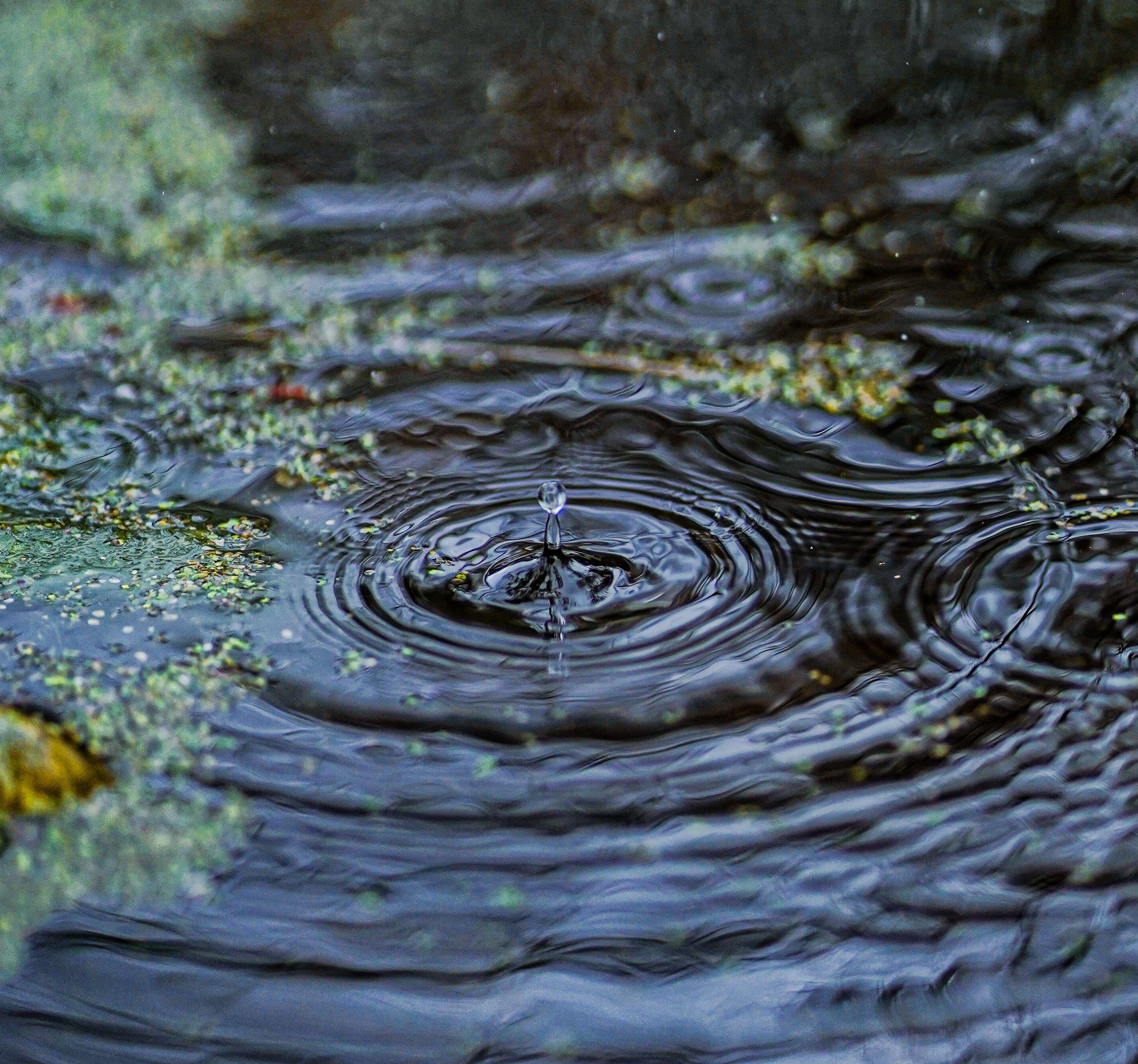 Captivating close-up of a water droplet splashing into a pond, forming mesmerizing ripples.