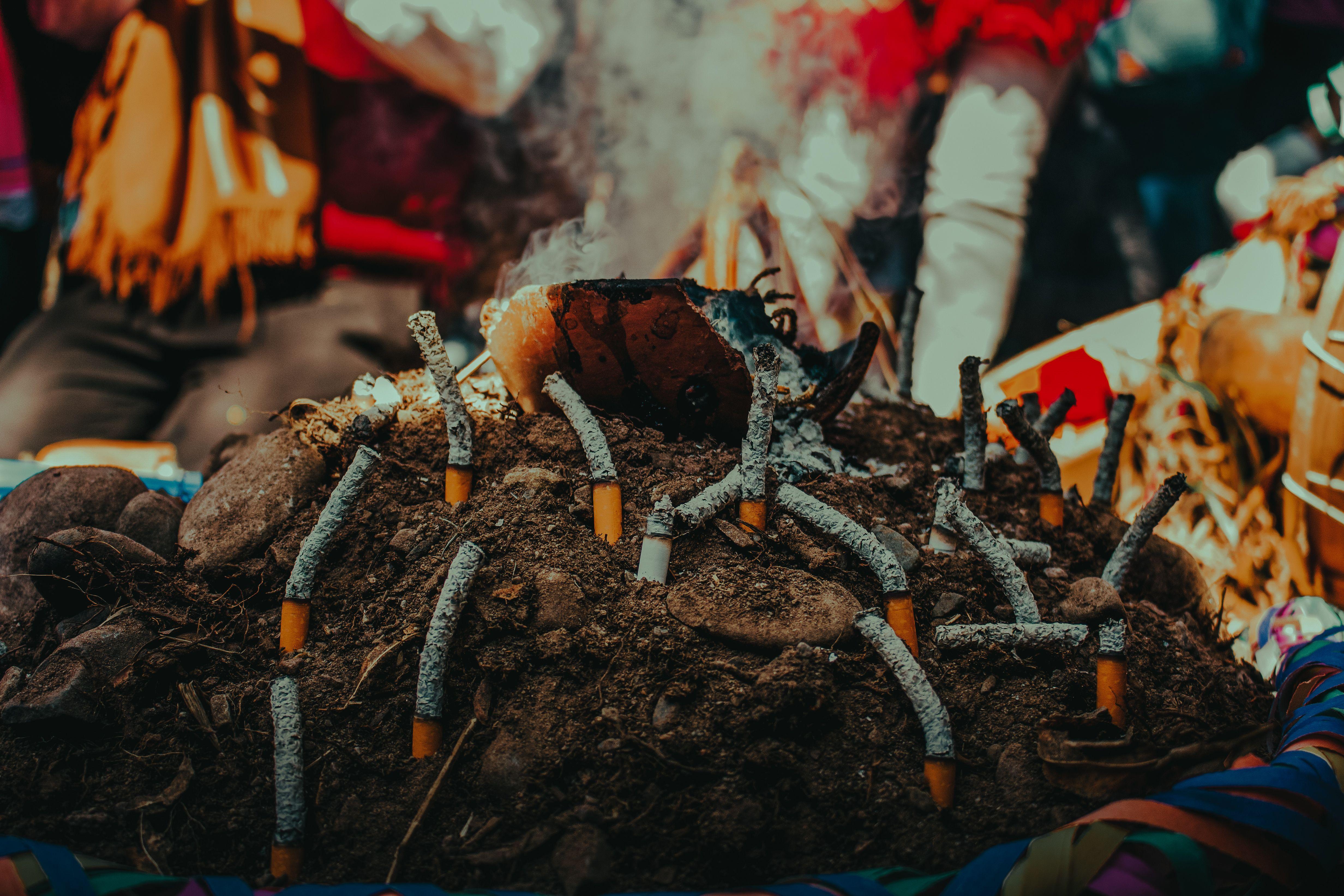 Close-up image of cigarette butts in dirt, symbolizing pollution and addiction.
