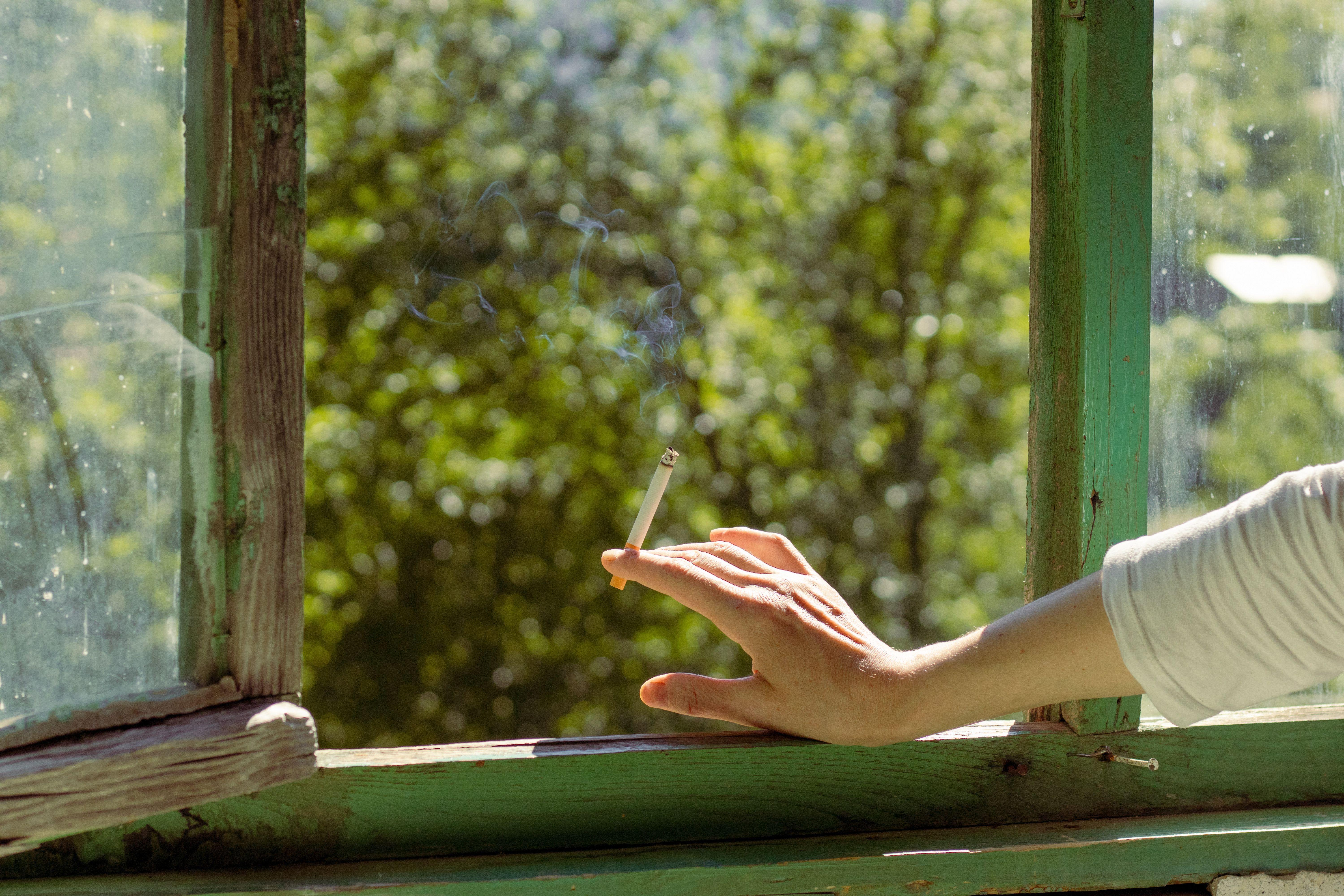 A hand holding a cigarette outside an open window on a sunny day, with greenery in the background.