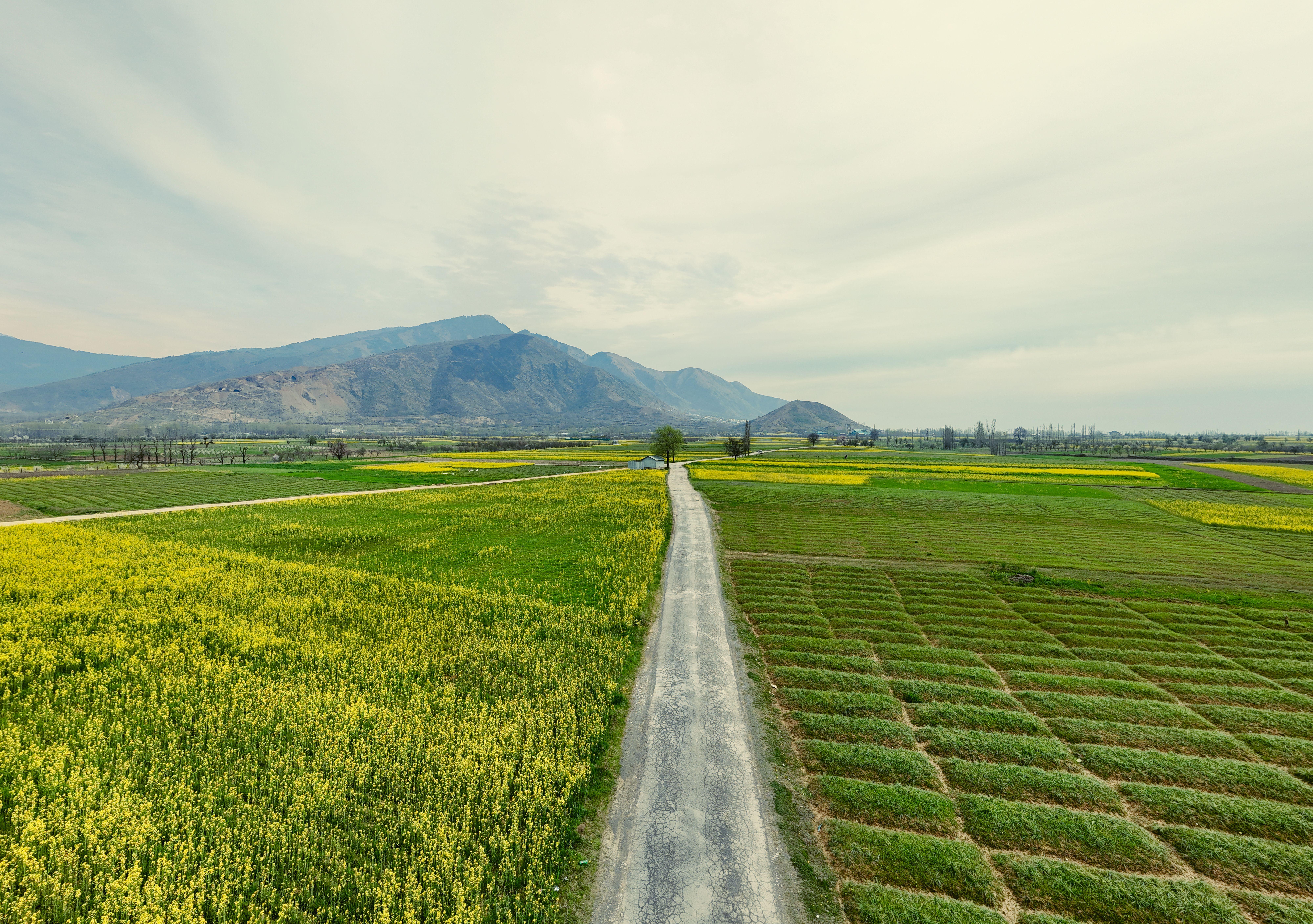 Expansive green fields stretch to the mountains under a bright sky, capturing rural tranquility.