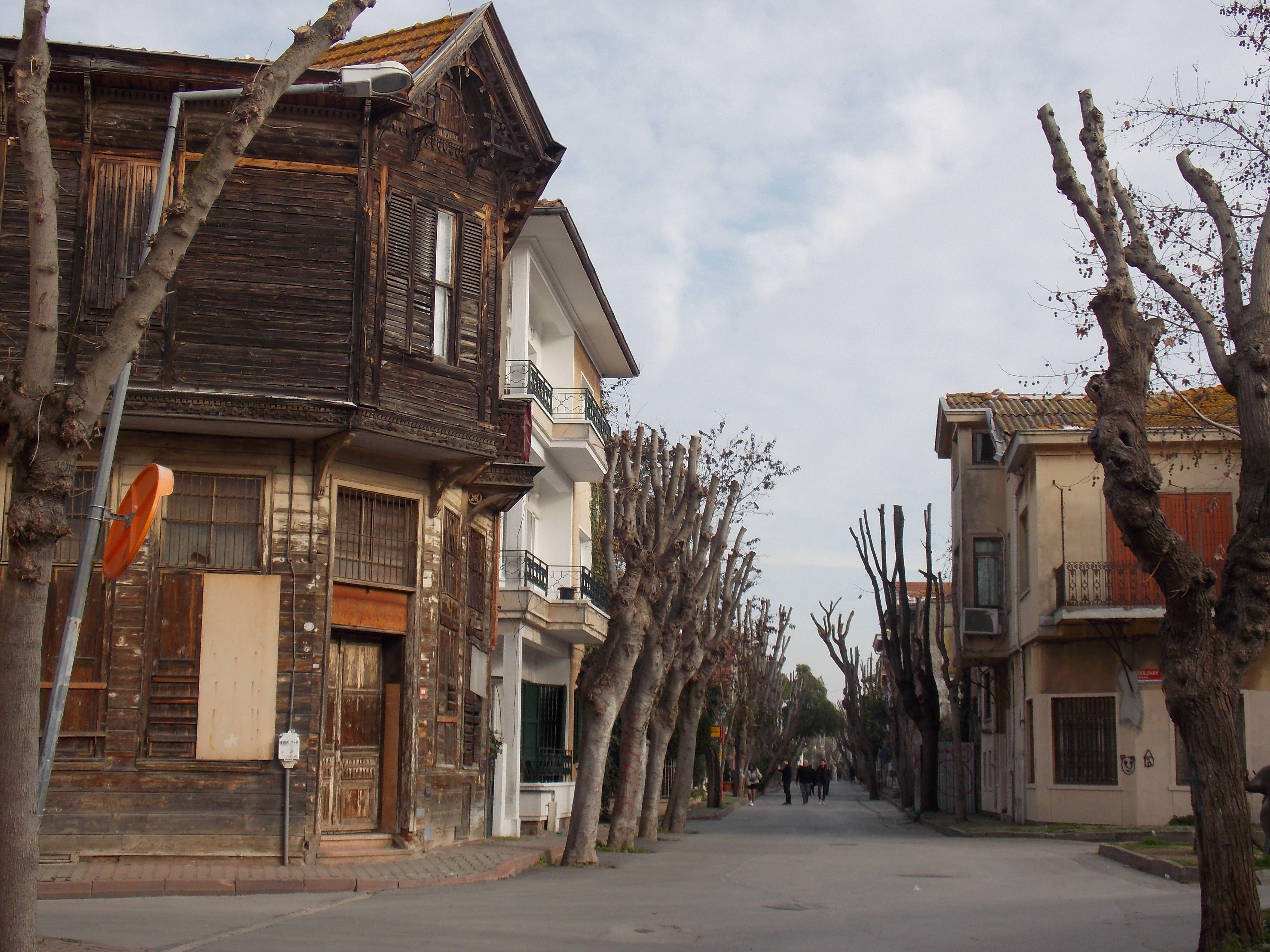 Explore a quaint street in Istanbul lined with leafless trees and rustic architecture.