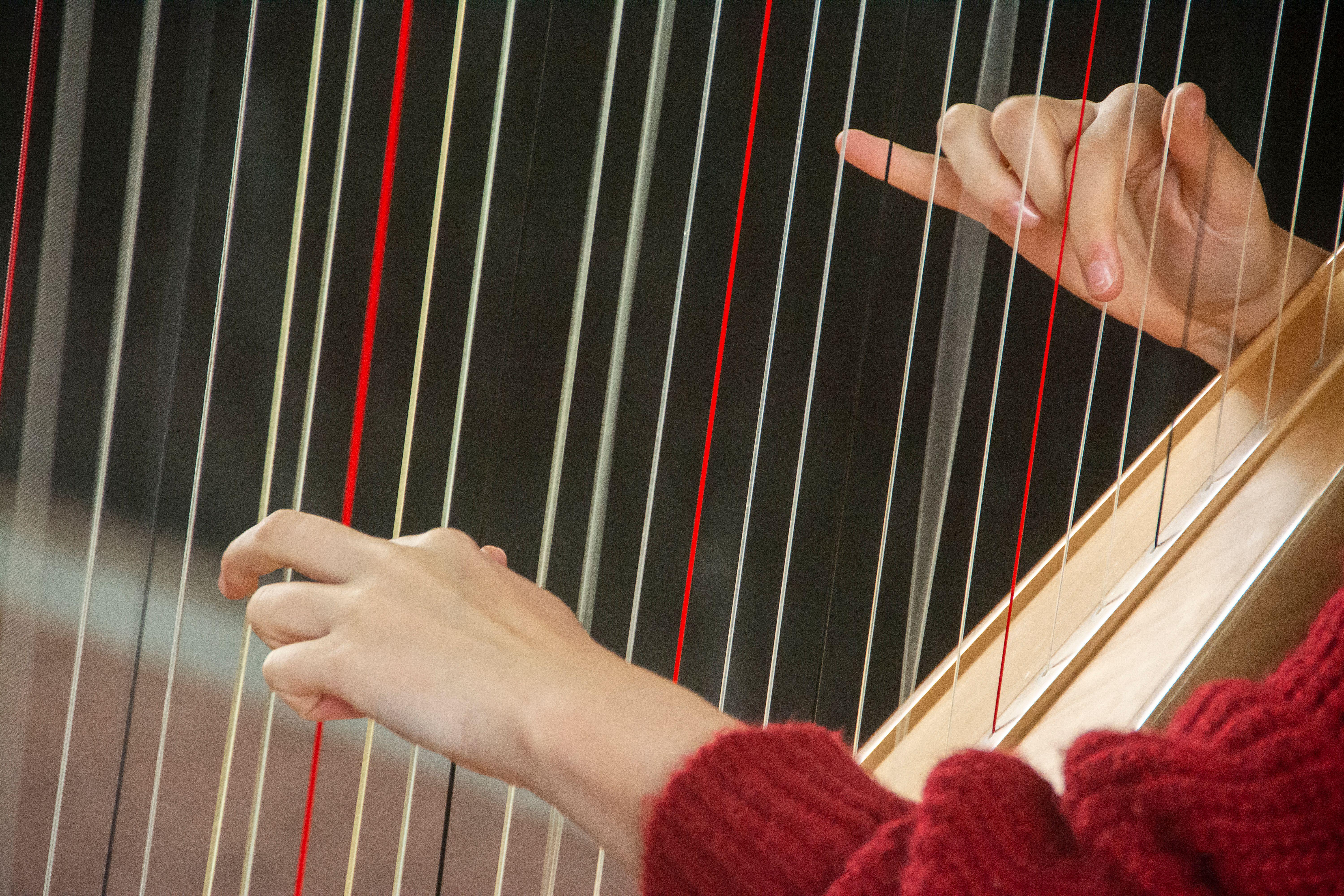 Hands gently plucking strings of a harp, capturing the essence of music and elegance.