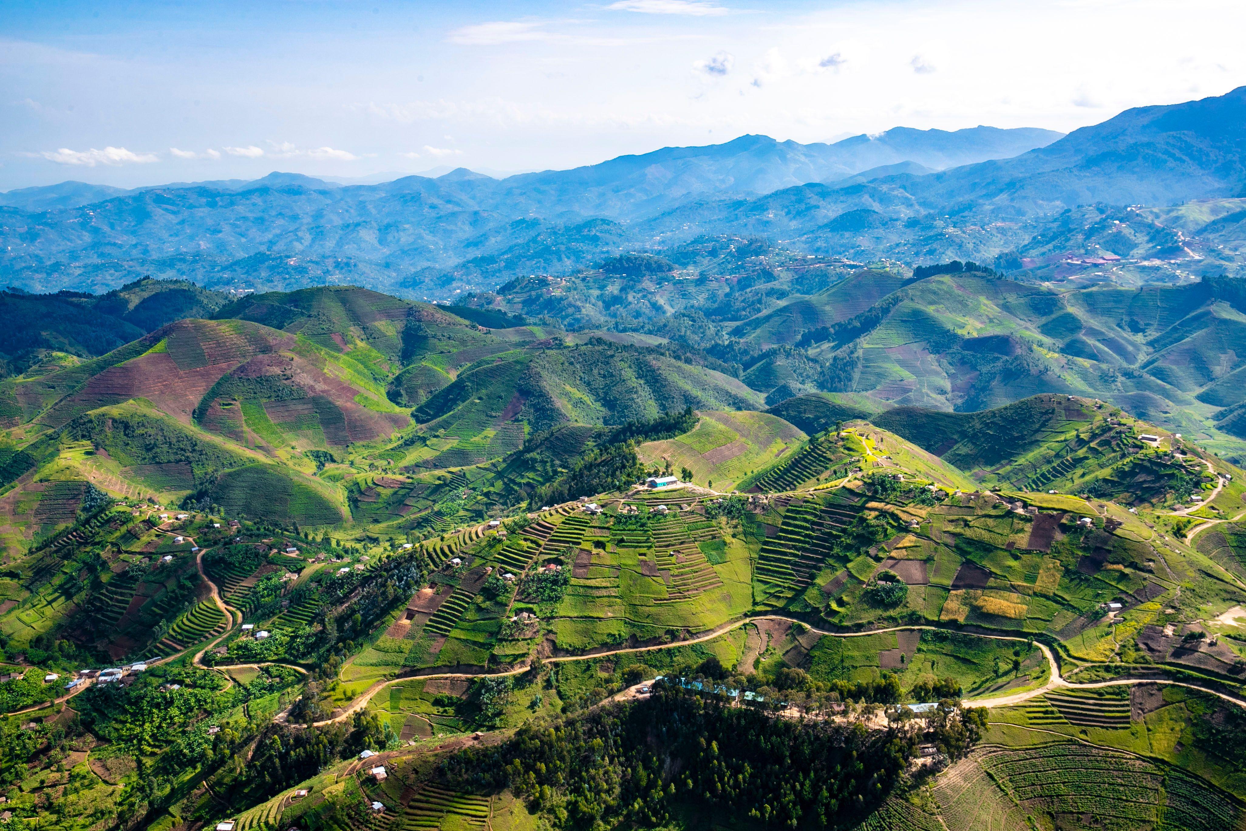 Stunning aerial landscape of vibrant green hills and terraced fields in Rwanda's countryside.