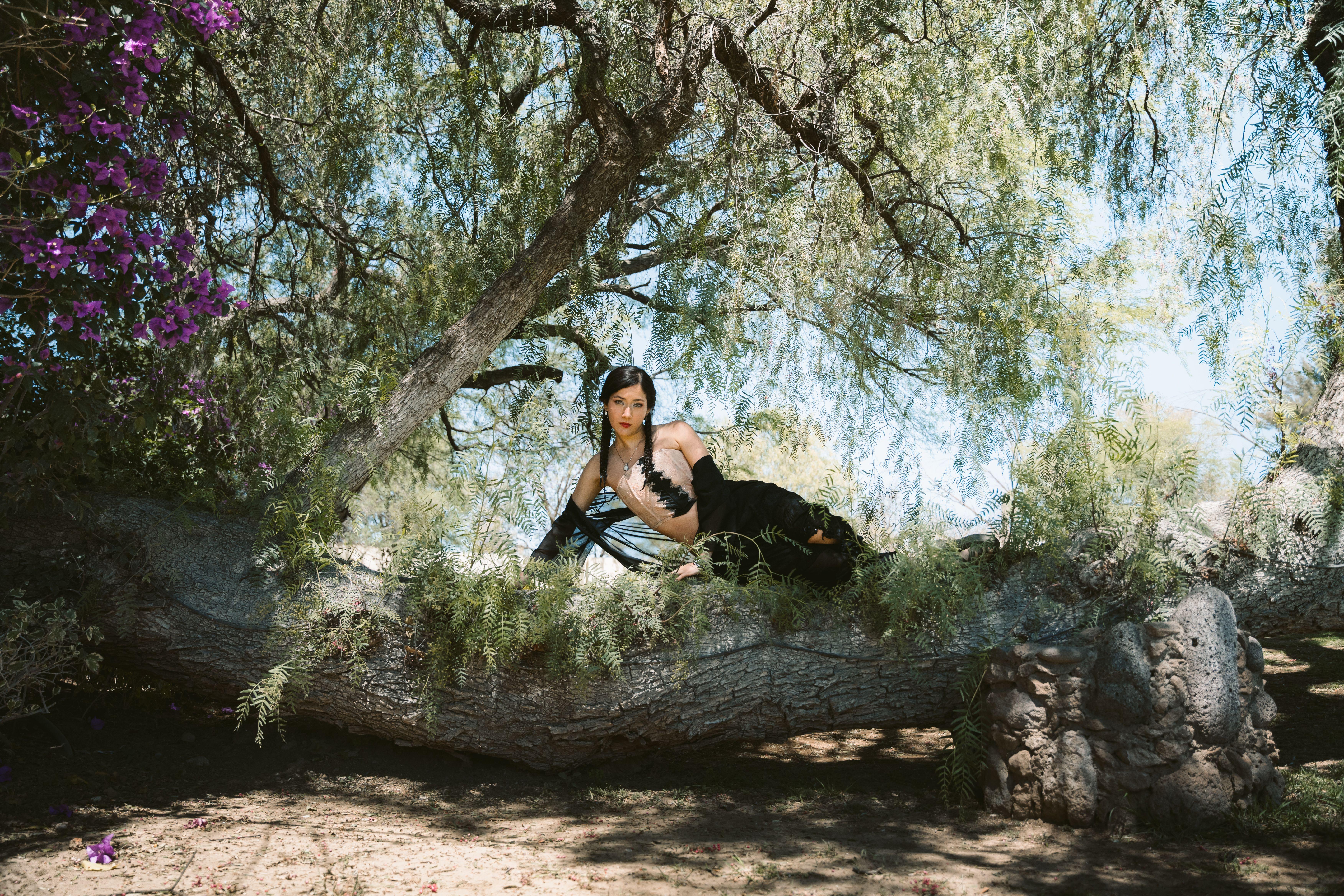 A woman in a black dress poses gracefully on a tree branch in a sunlit park.