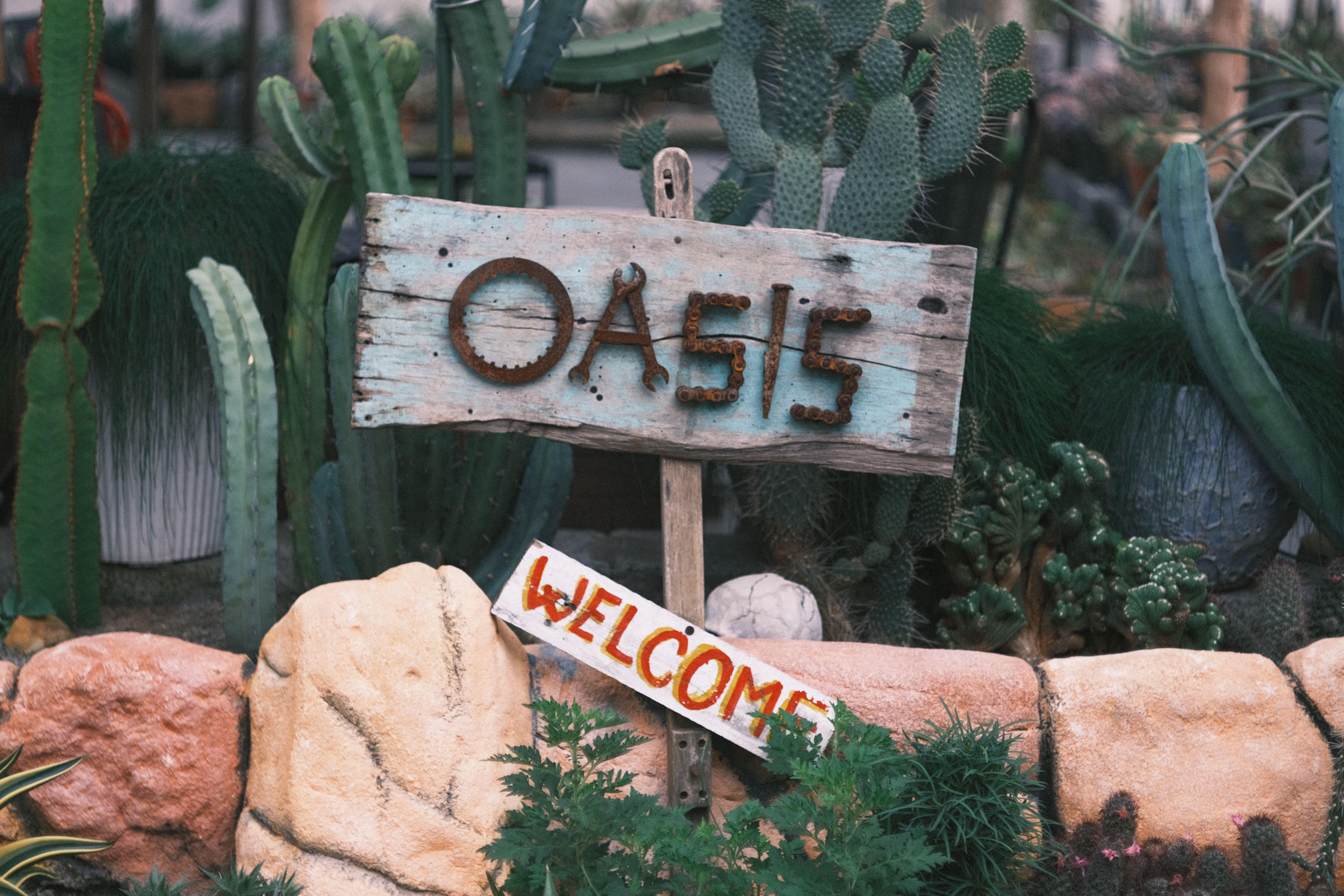 Charming rustic signboard reading 'Oasis Welcome' amidst lush cacti and stones.