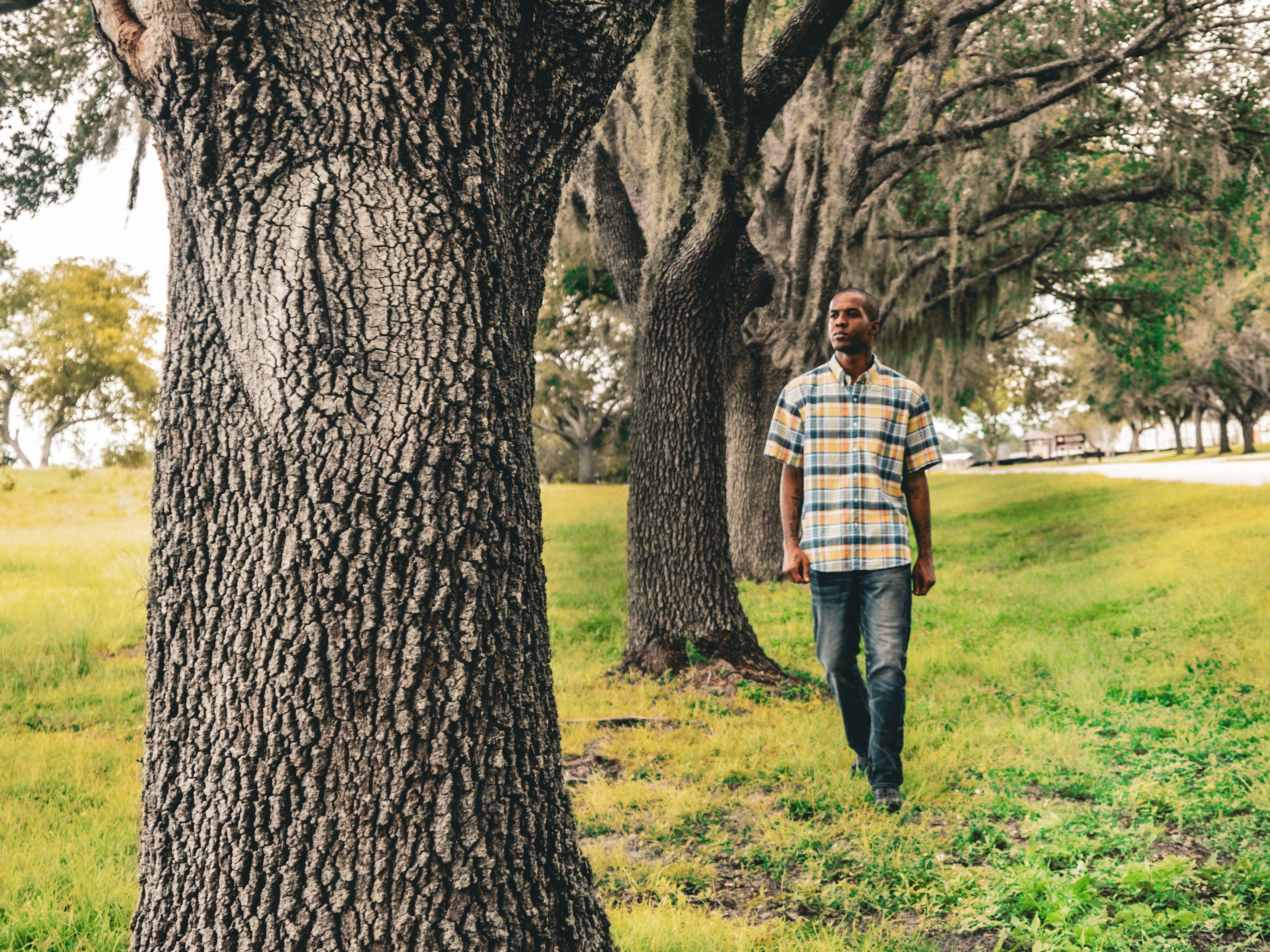 Adult male strolling through an oak tree park in Fort Myers, Florida on a sunny day.