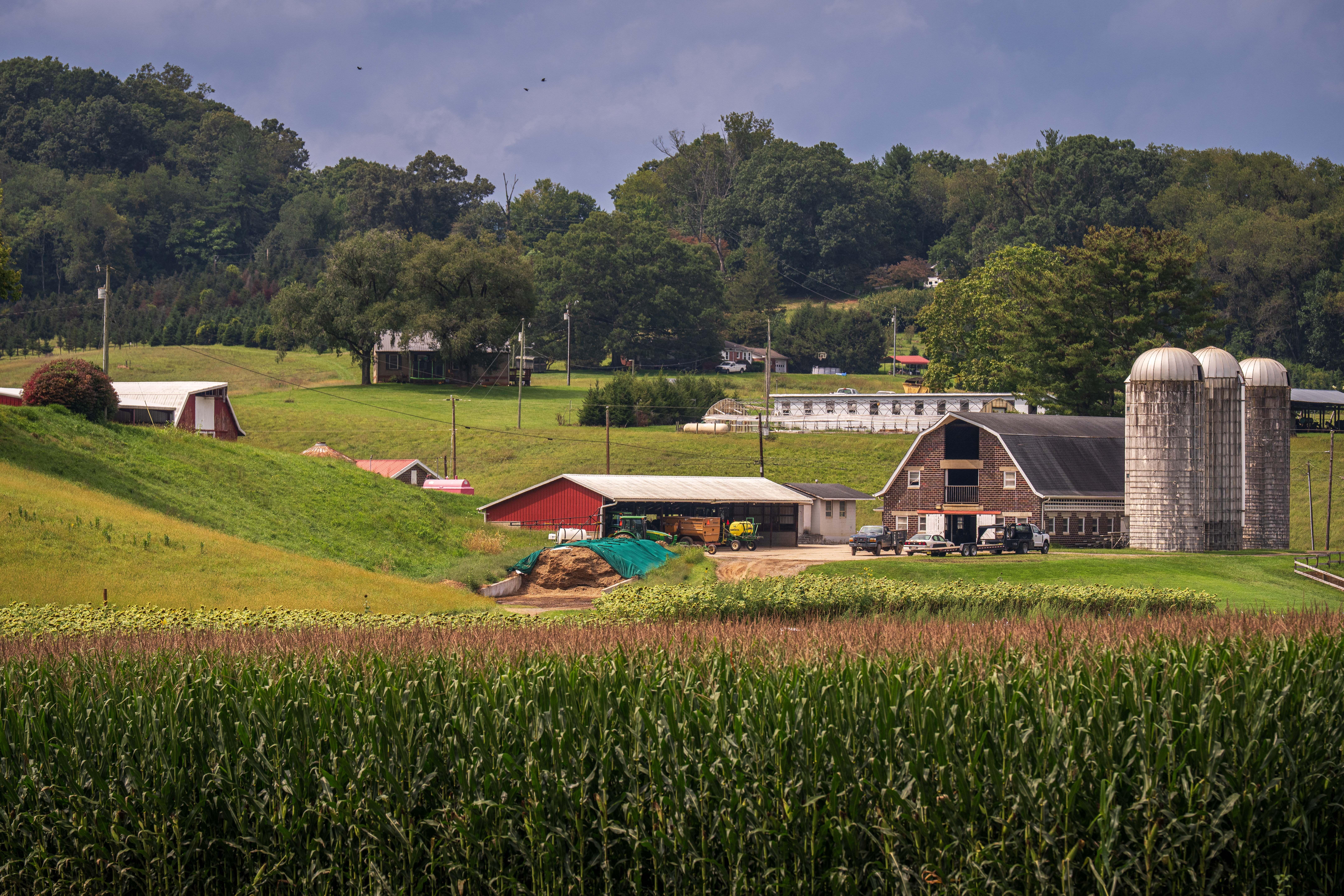 Beautiful rural farm landscape showing barns, silos, and lush greenery under a clear sky.