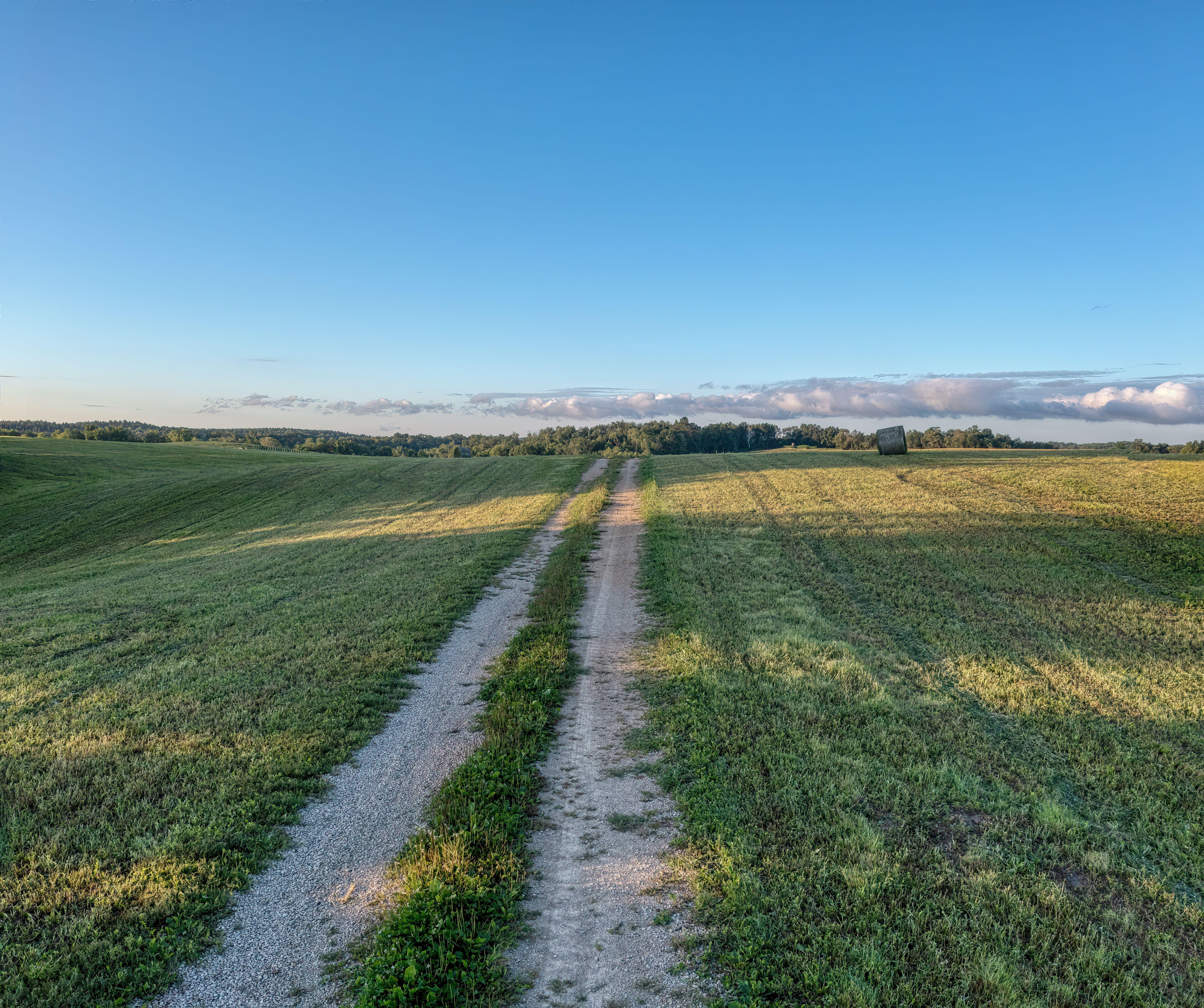A serene rural dirt road through a grassy field in Nelson, Wisconsin, under a bright blue sky.