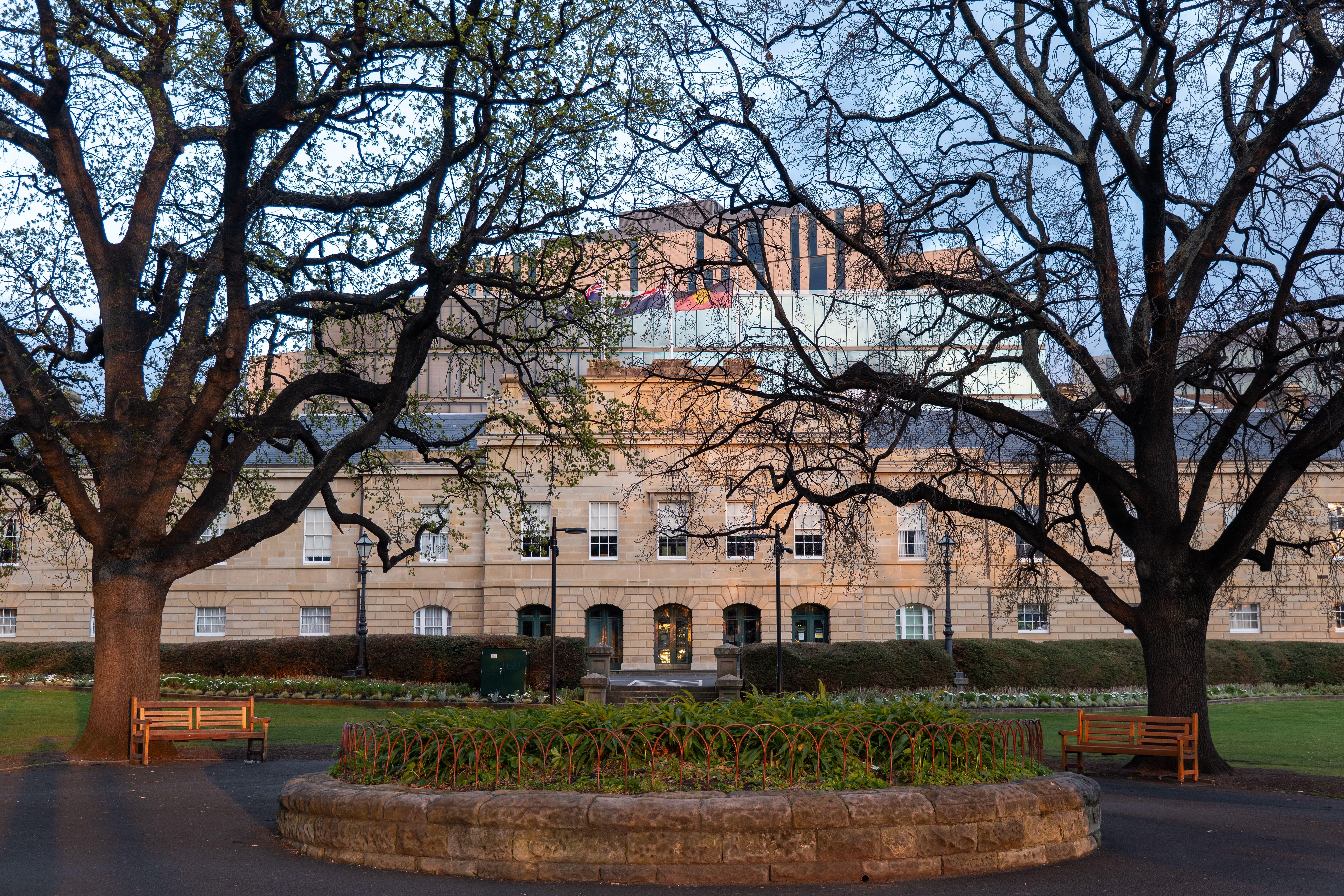 Historic Hobart Courthouse framed by trees in early morning light, Tasmania.