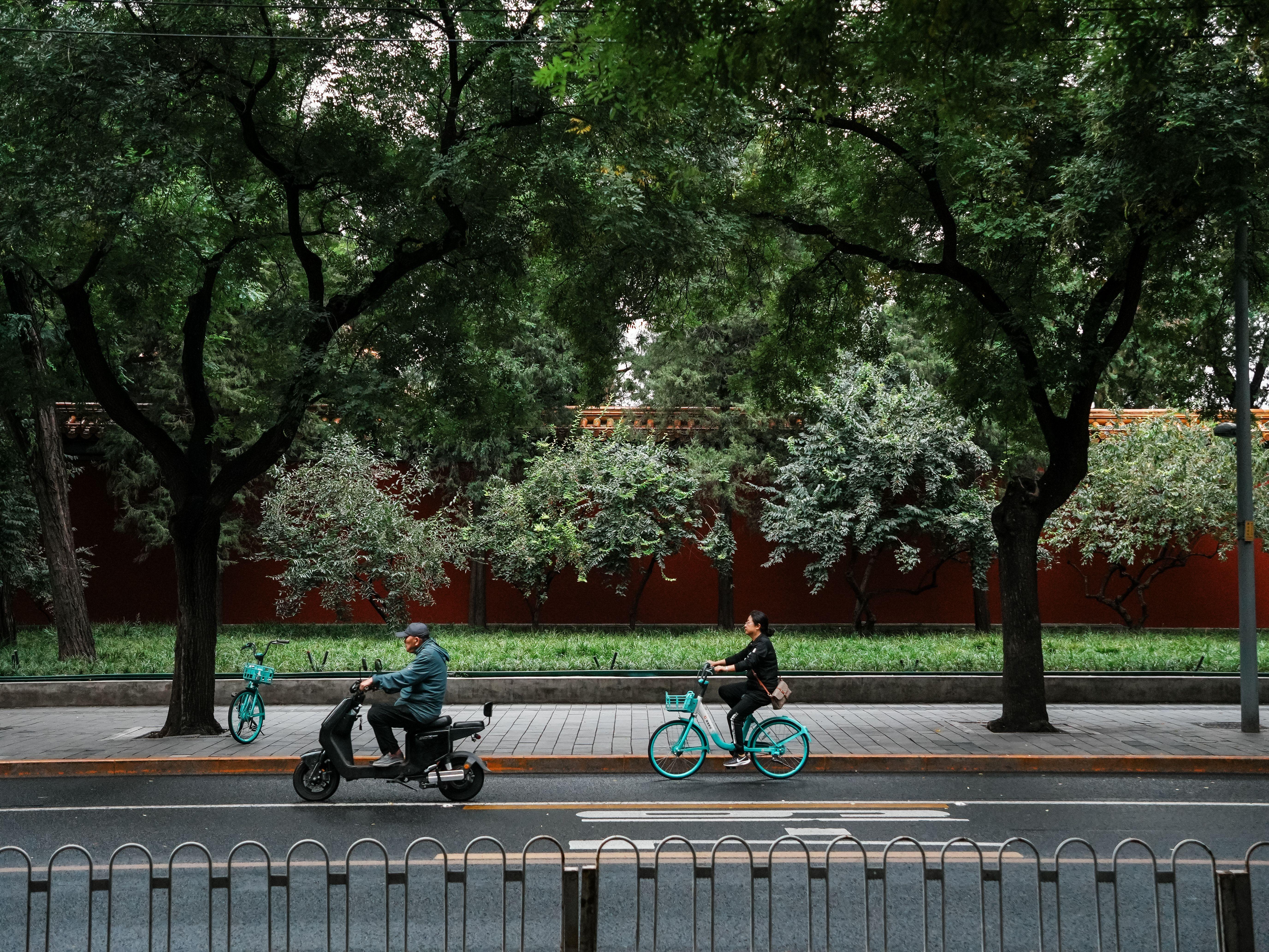 Two cyclists ride under lush trees along a peaceful urban street in China.
