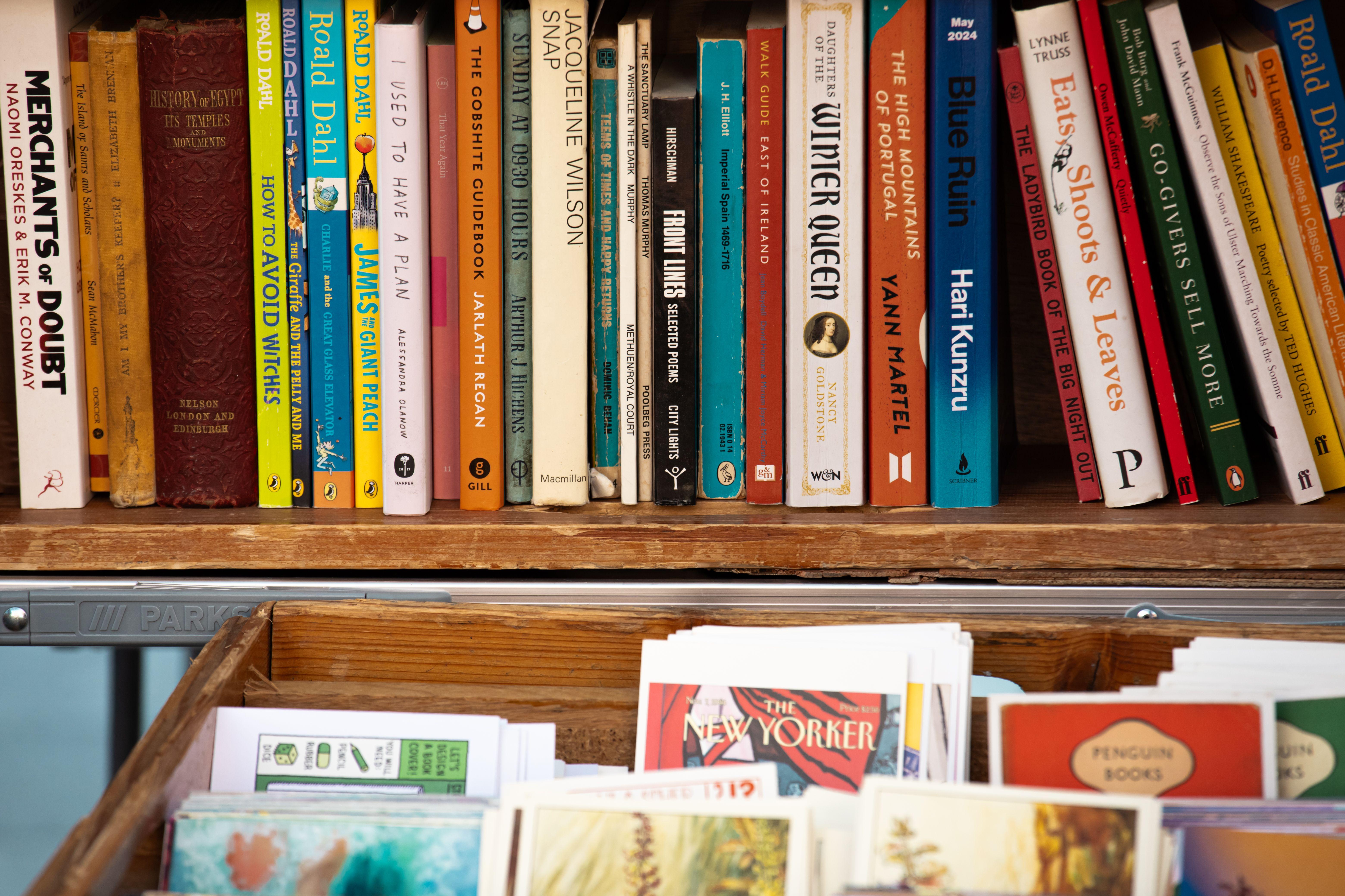 Bookshelf featuring a diverse collection of classic and modern literature in a cozy setting.
