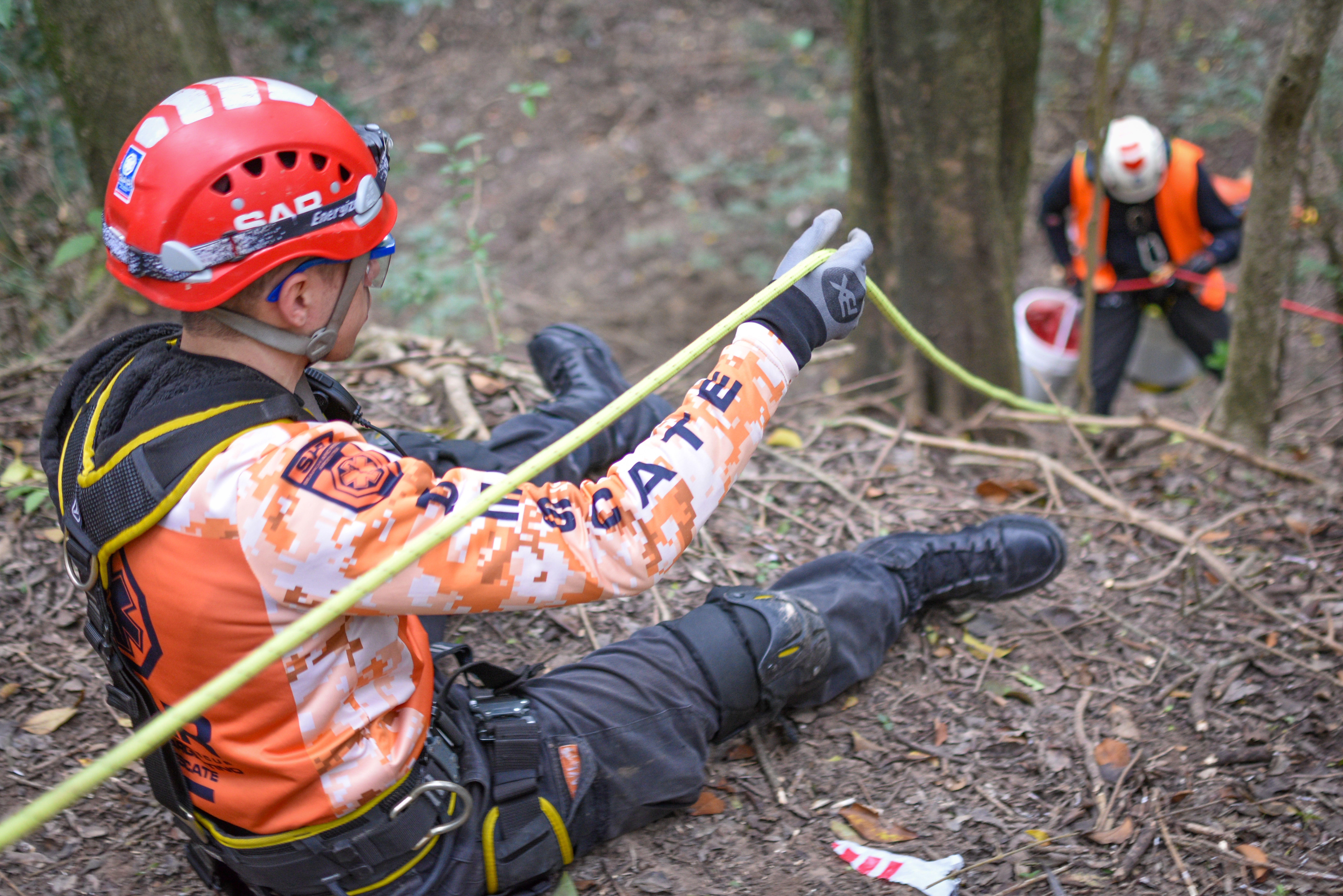 Search and Rescue team conducting an operation on a forest slope using safety ropes and helmets.