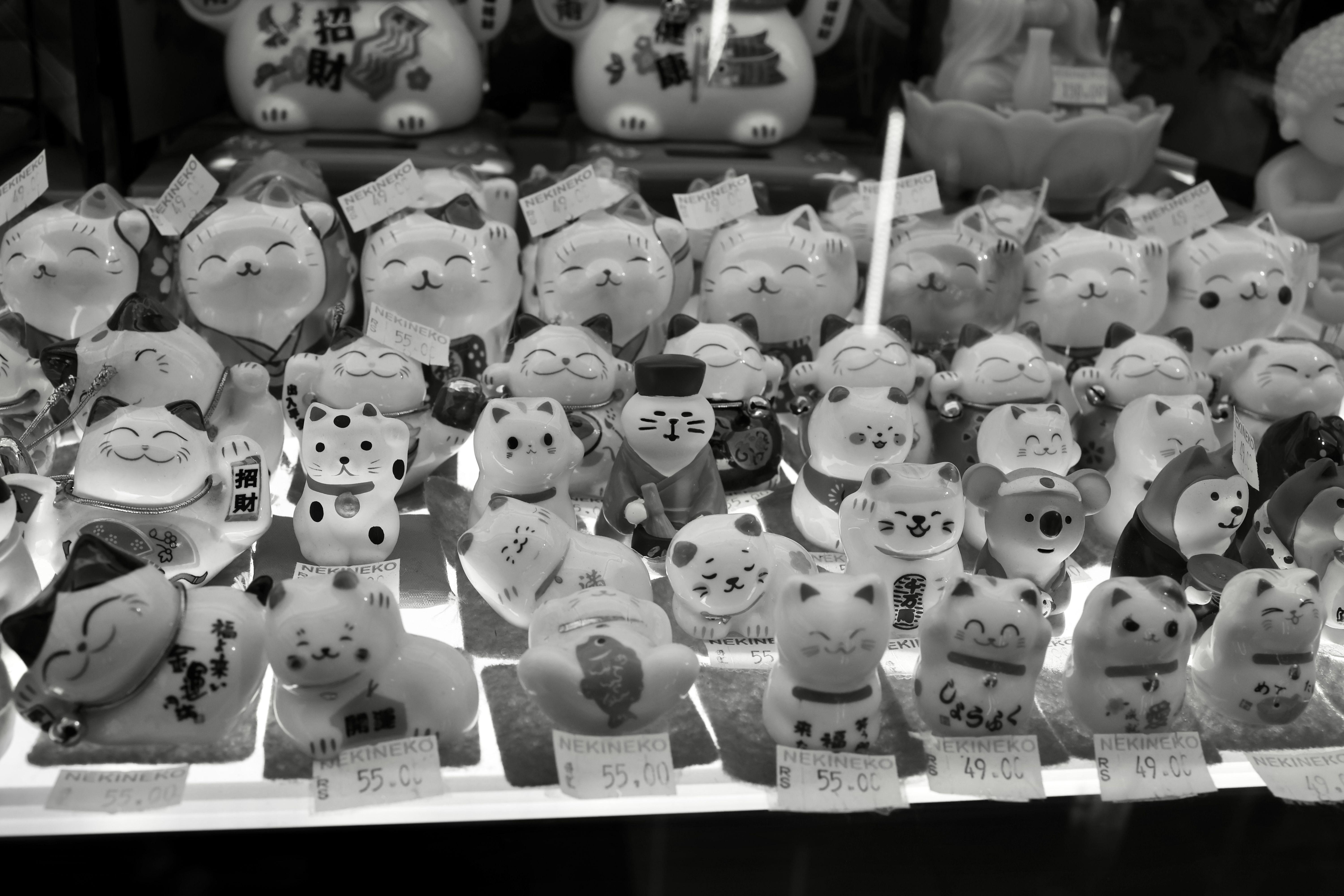 A captivating black and white display of various Maneki-neko figurines in a shop window.