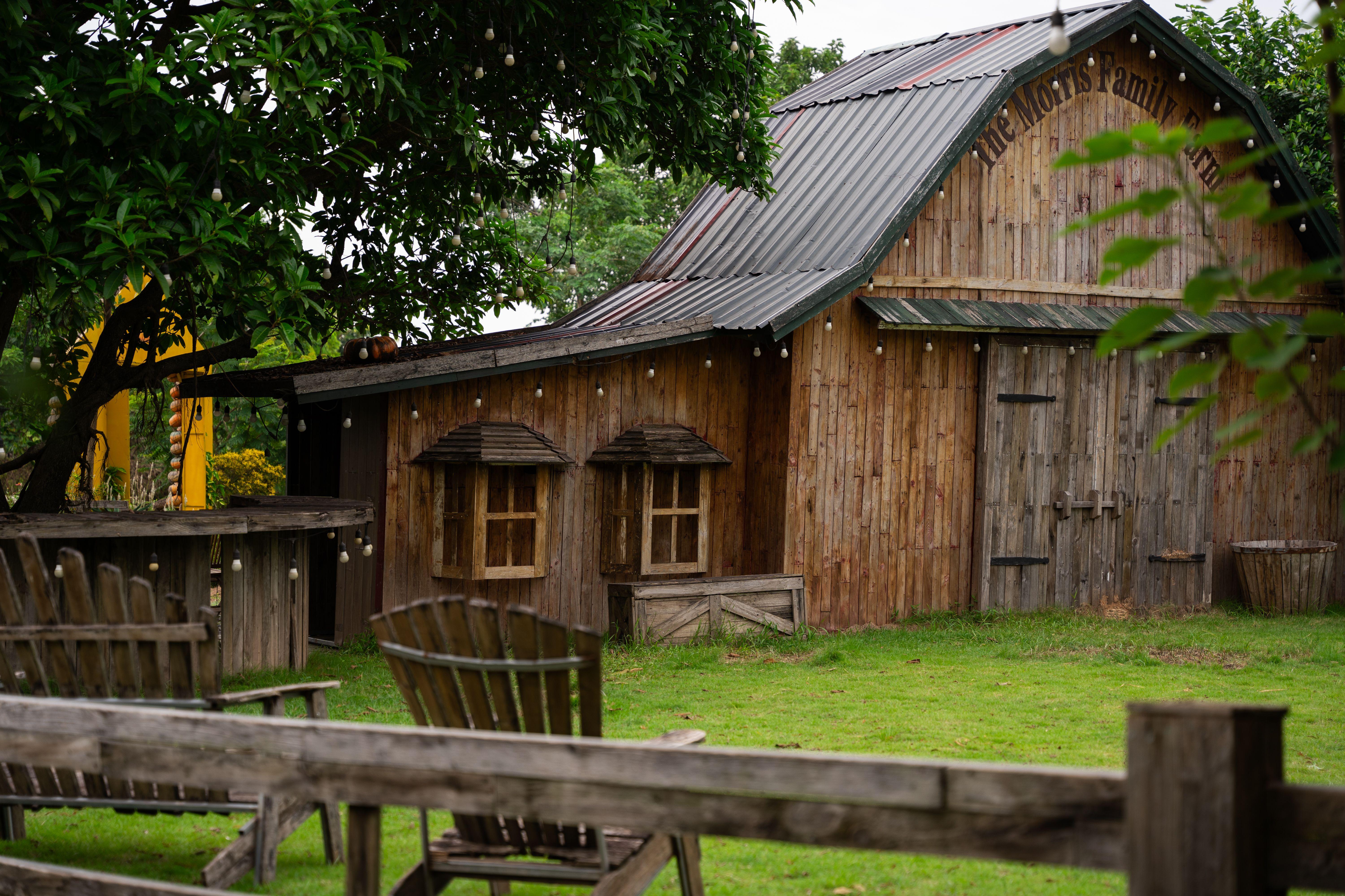 An inviting rustic wooden barn surrounded by lush greenery and cozy outdoor seating, perfect for a peaceful retreat.