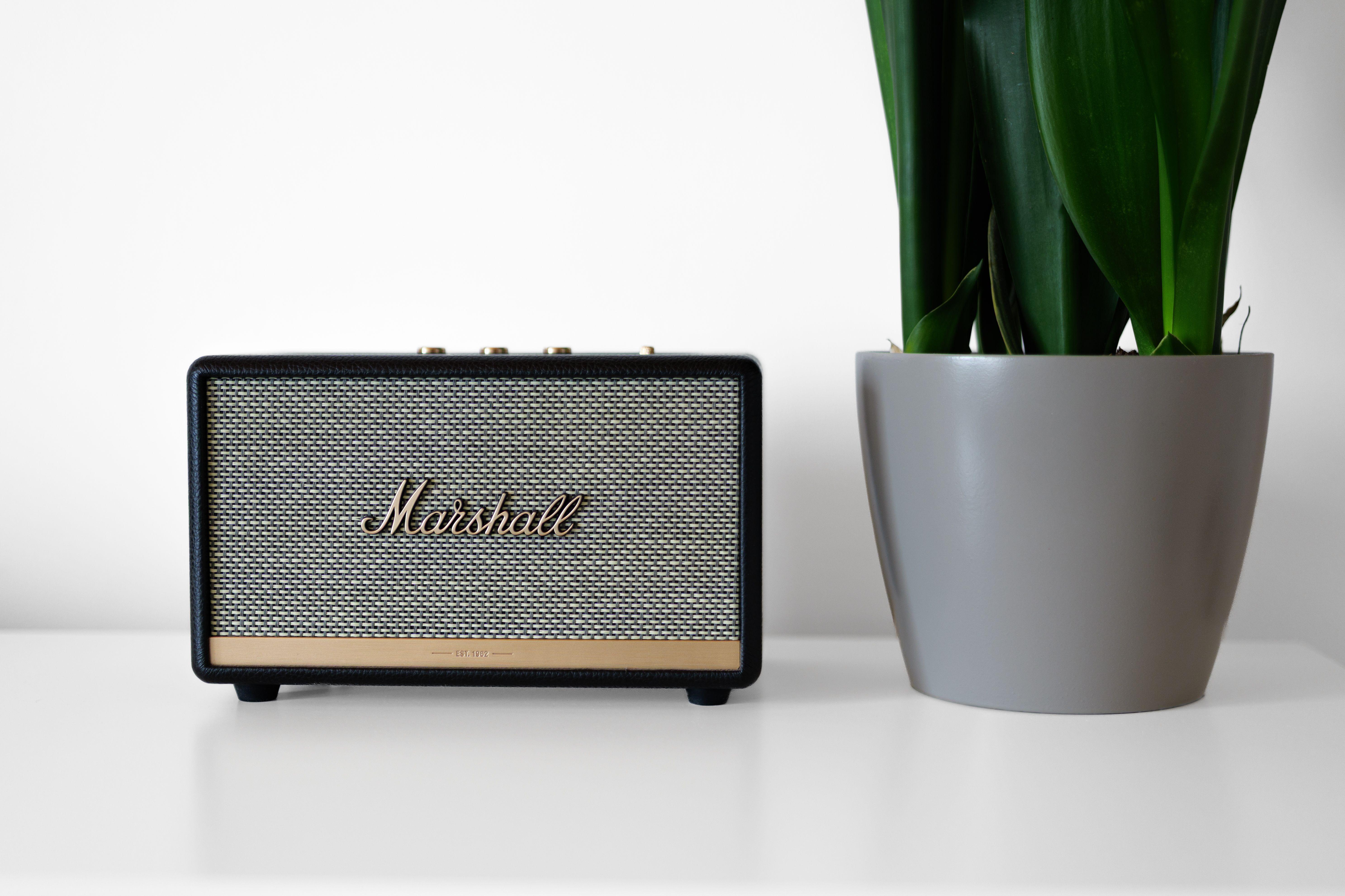 A sleek Marshall speaker sits beside a tall plant on a minimalist white desk, perfect for modern interiors.