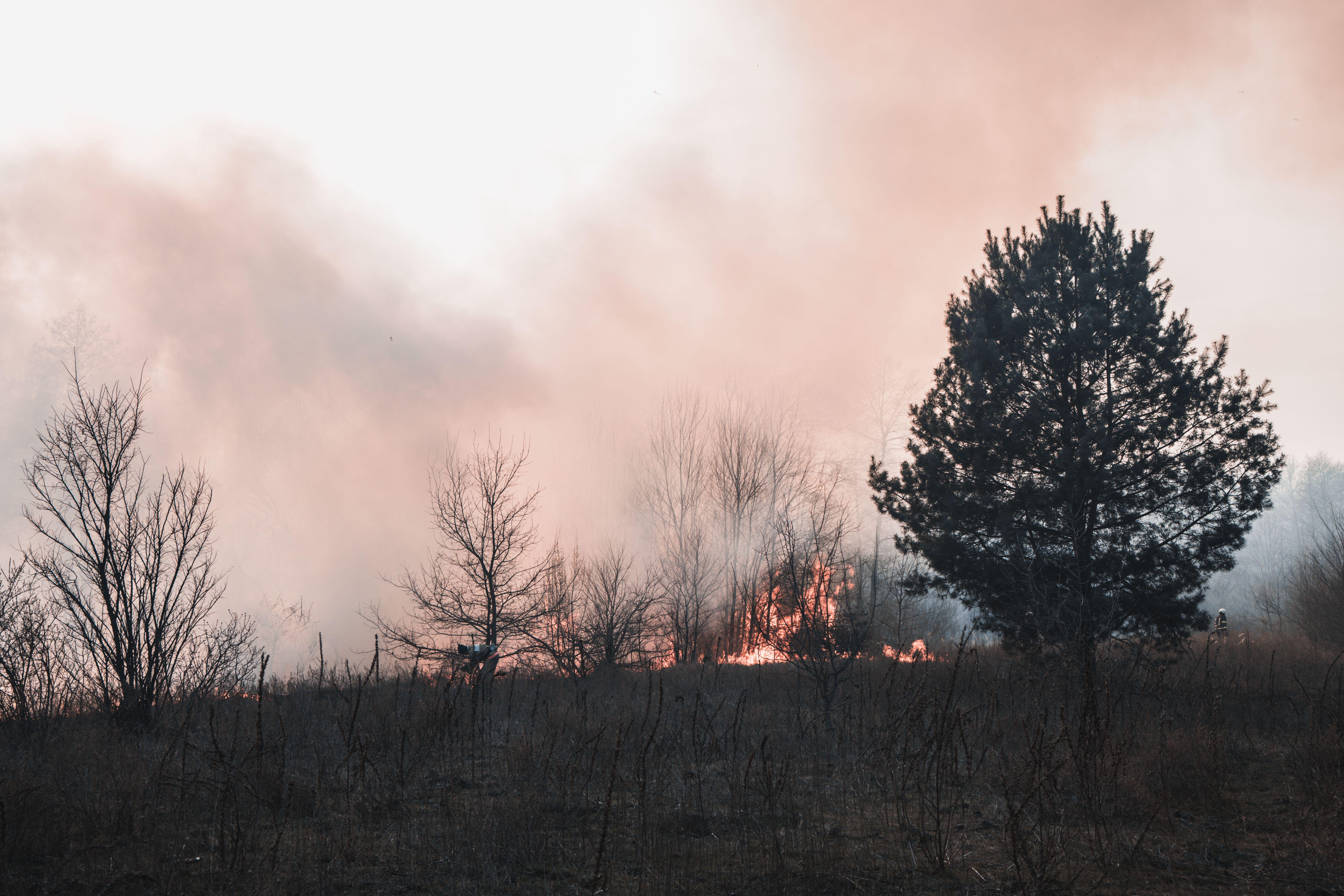 Smoke and flames engulf the forest in Kyiv Oblast, highlighting the threat of wildfires.
