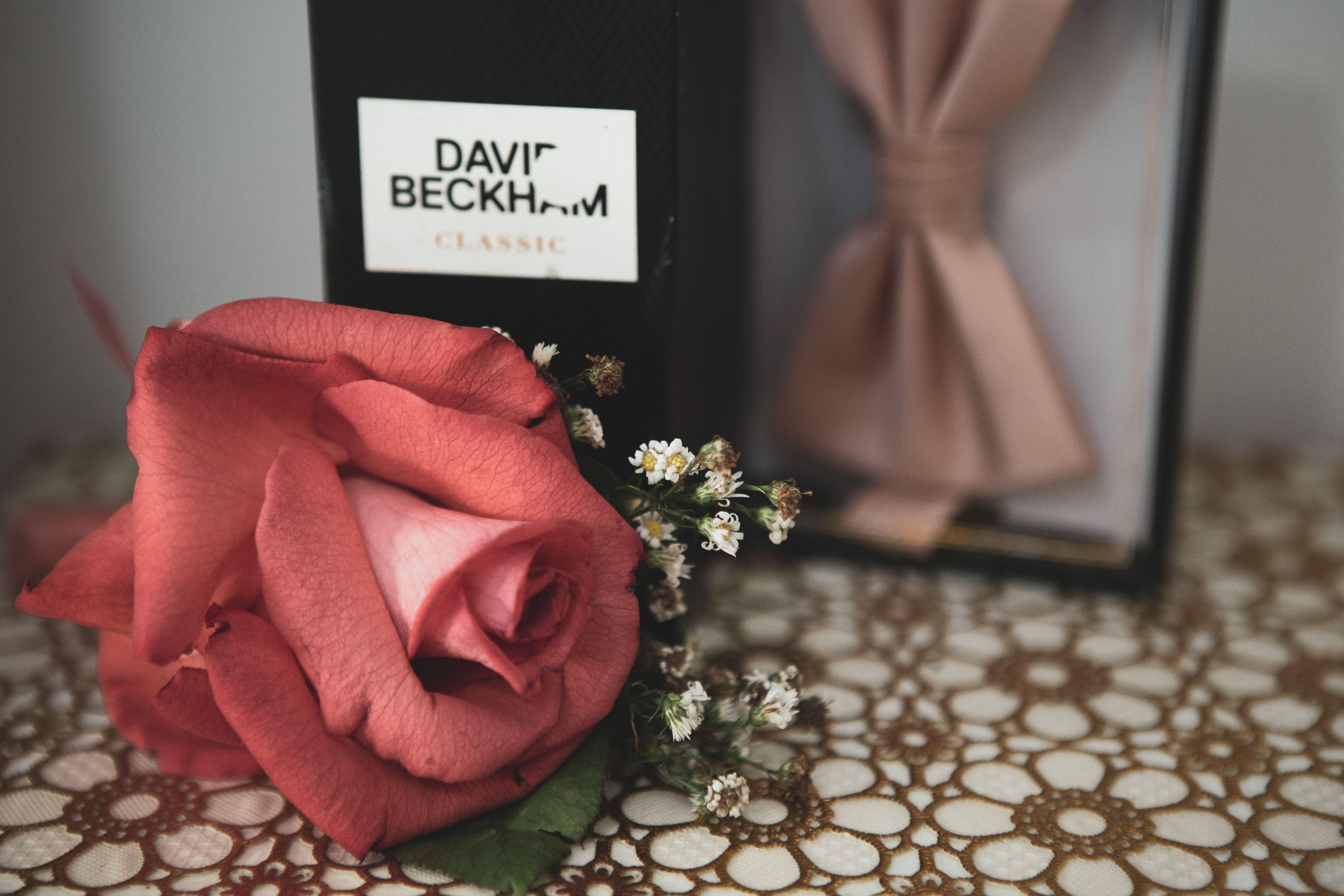 Colorful blossoming flower near present box with trendy bow tie on ornamental cloth