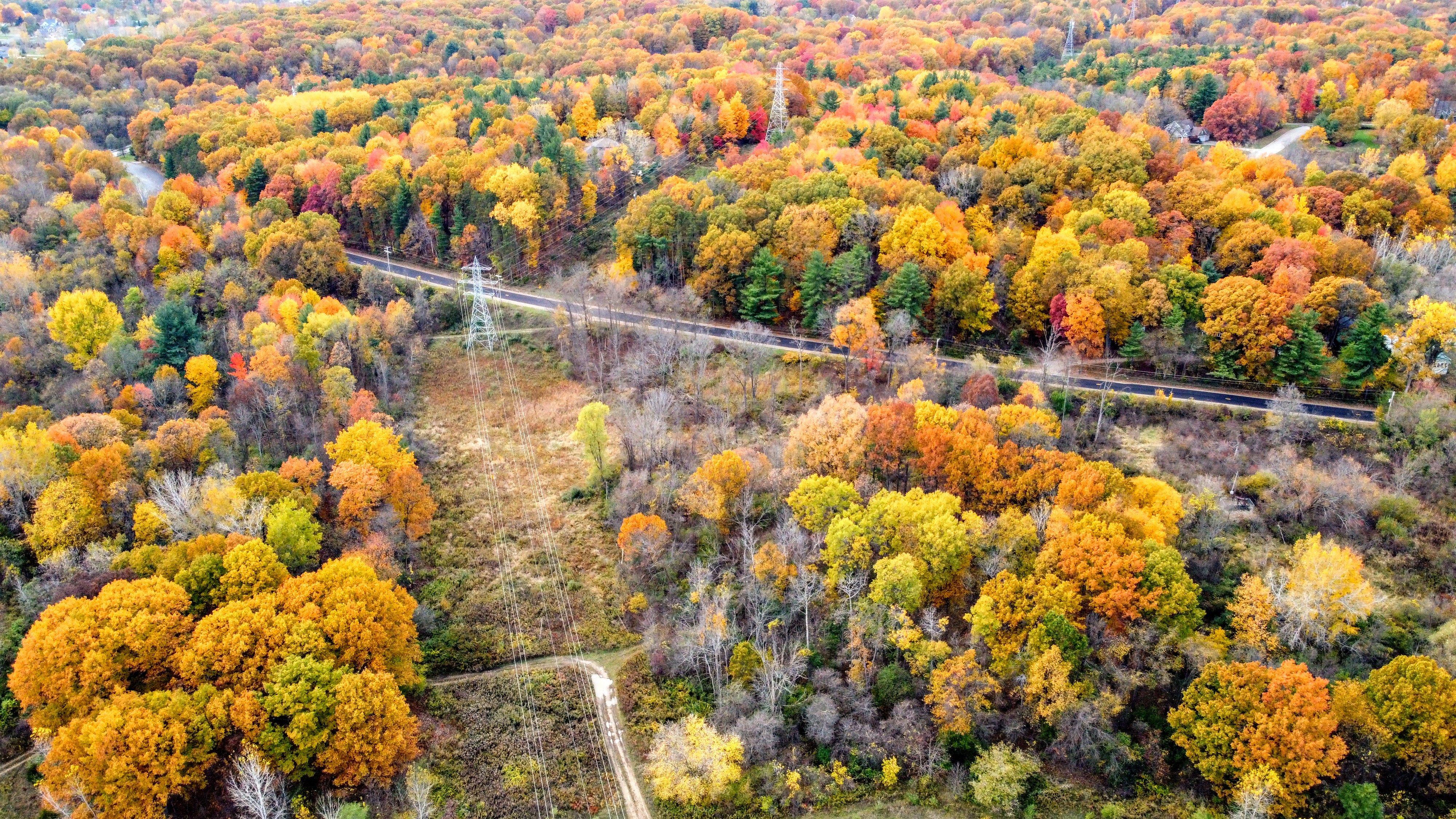 Vibrant aerial view of colorful autumn forest in Walker, Michigan.
