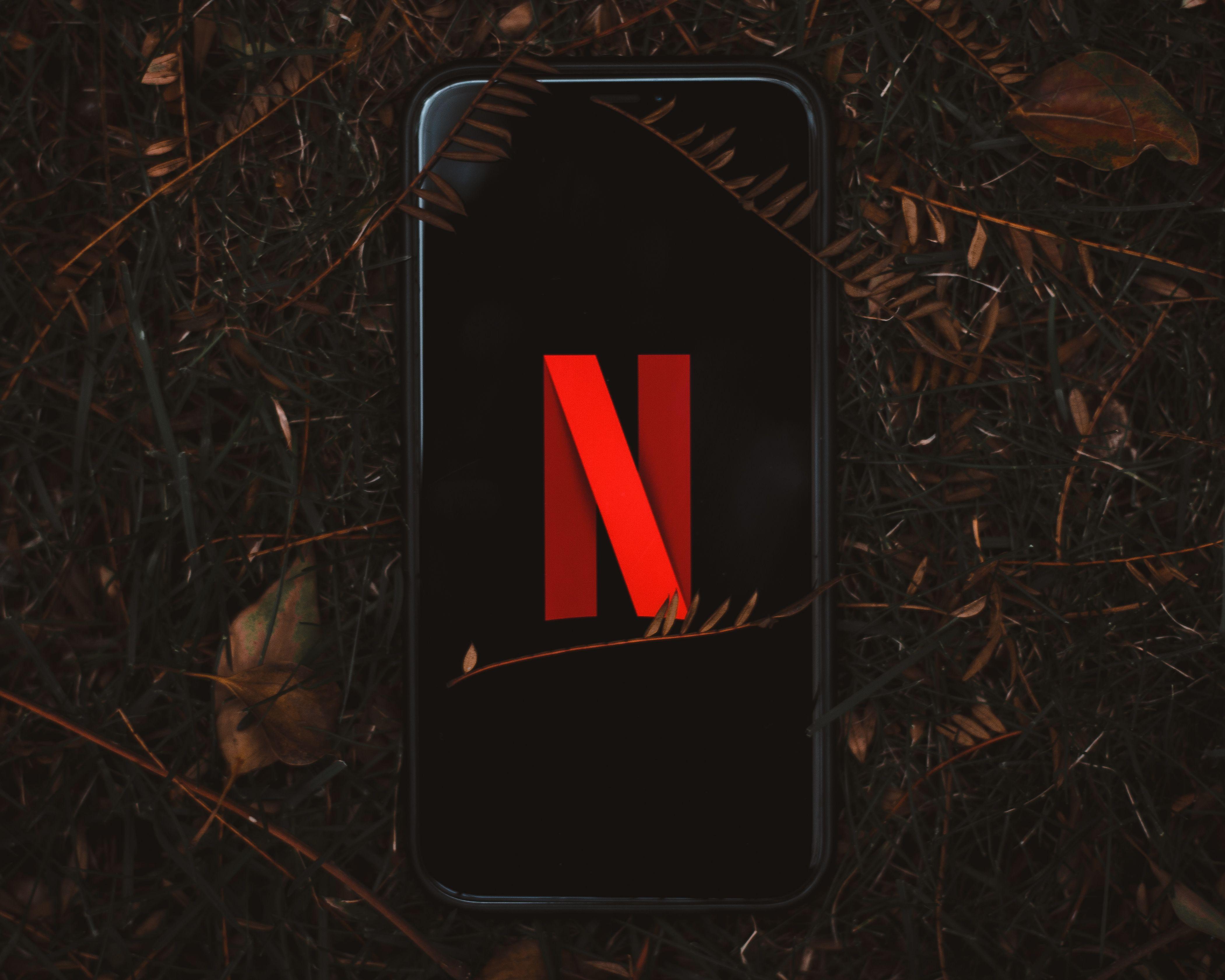Smartphone with Netflix logo on screen, surrounded by dry leaves outdoors.