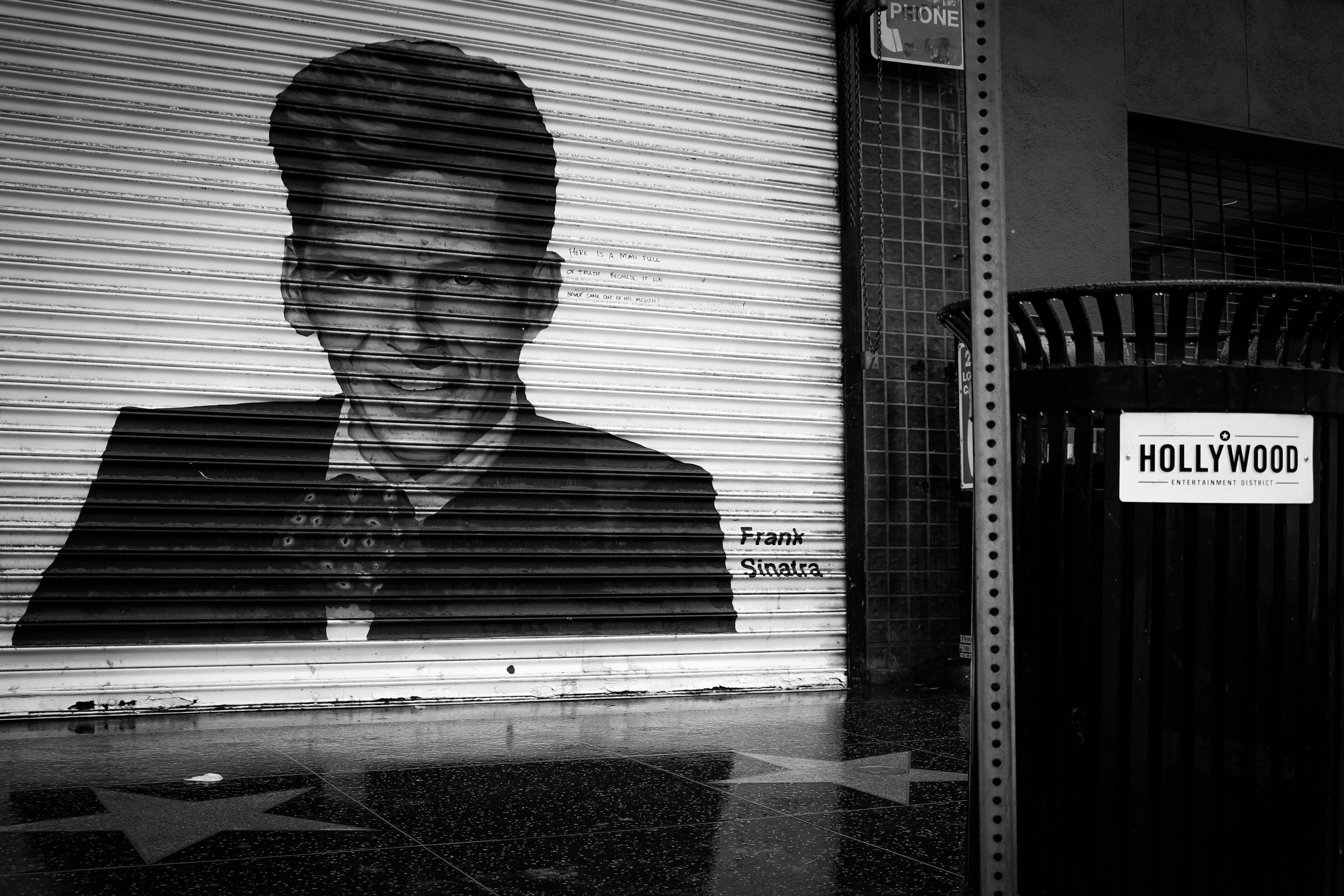 Black and white street art of Frank Sinatra in Hollywood's entertainment district.