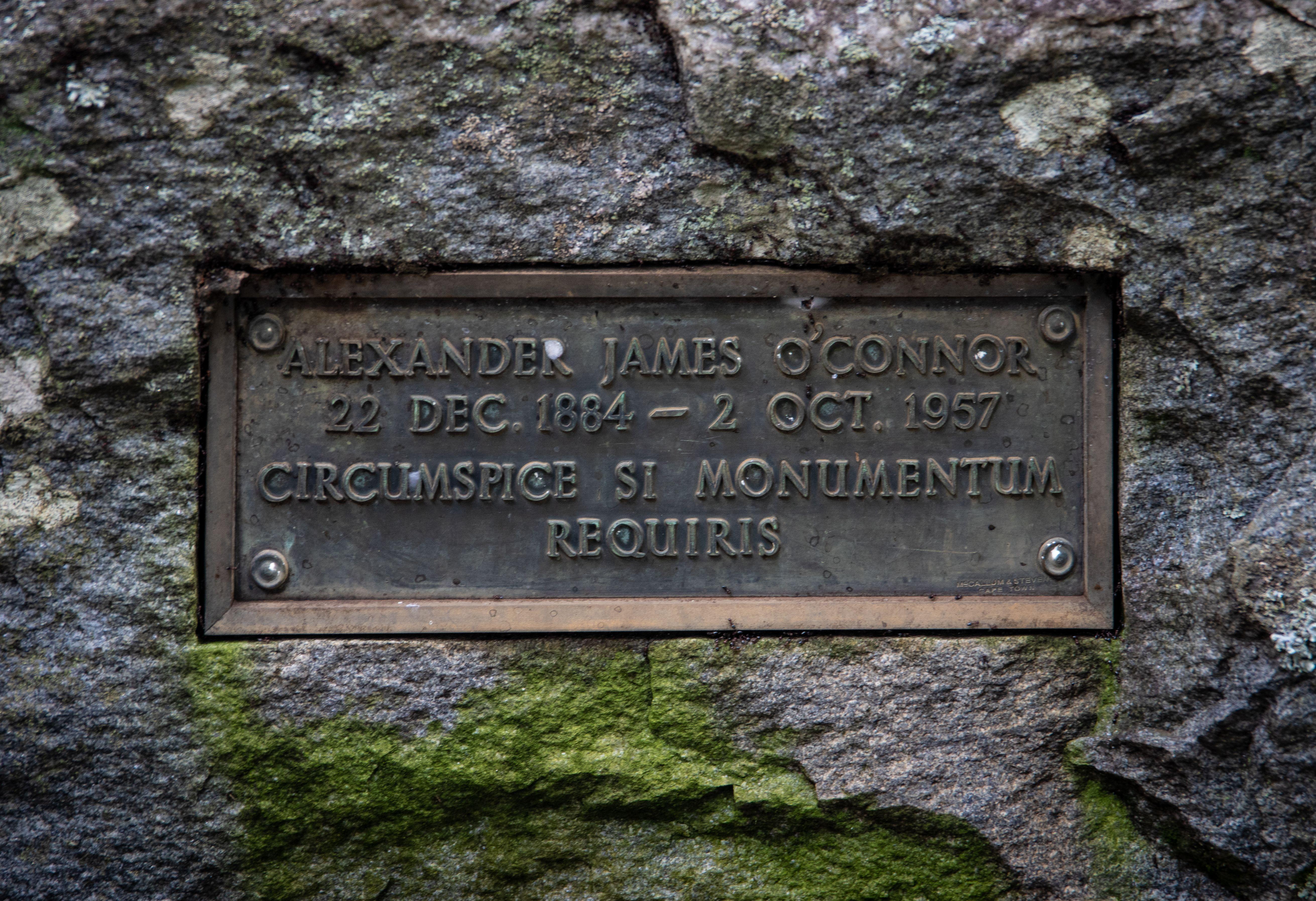 Close-up of a brass grave marker with a Latin inscription, surrounded by mossy stone.