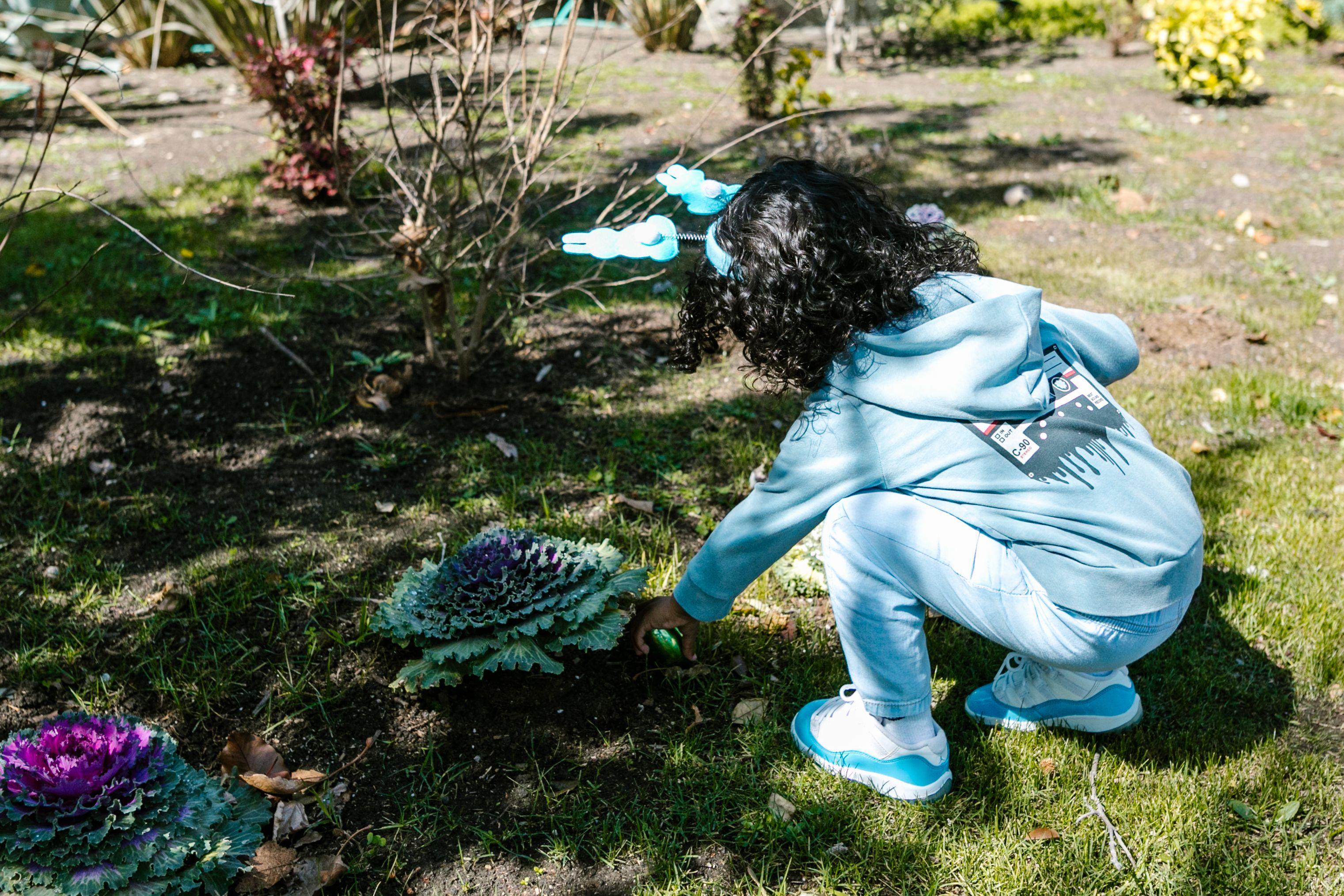 A young child in blue clothing searches for Easter eggs in a garden during springtime.