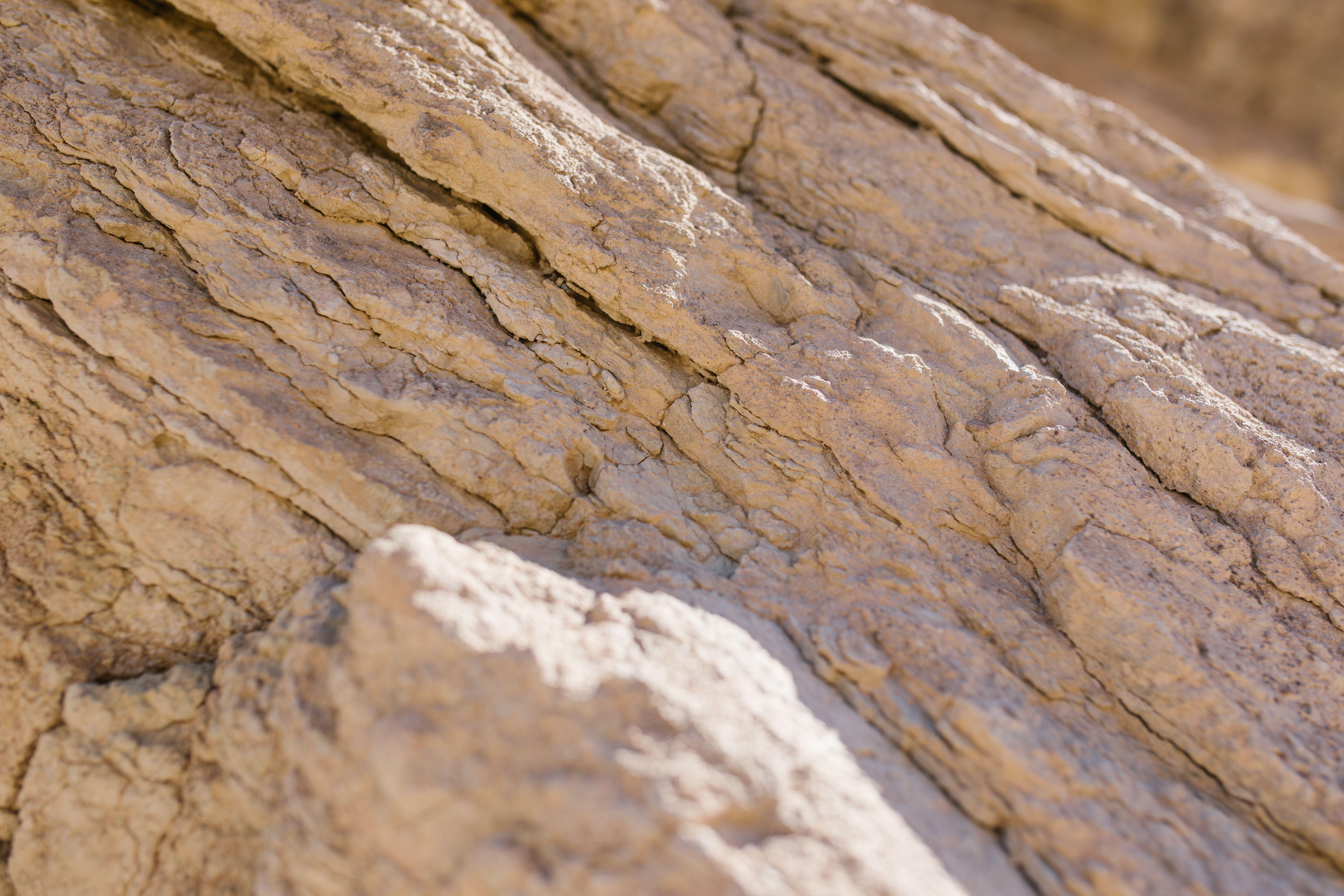 Detailed close-up of textured rock formation capturing natural patterns and rough surface.