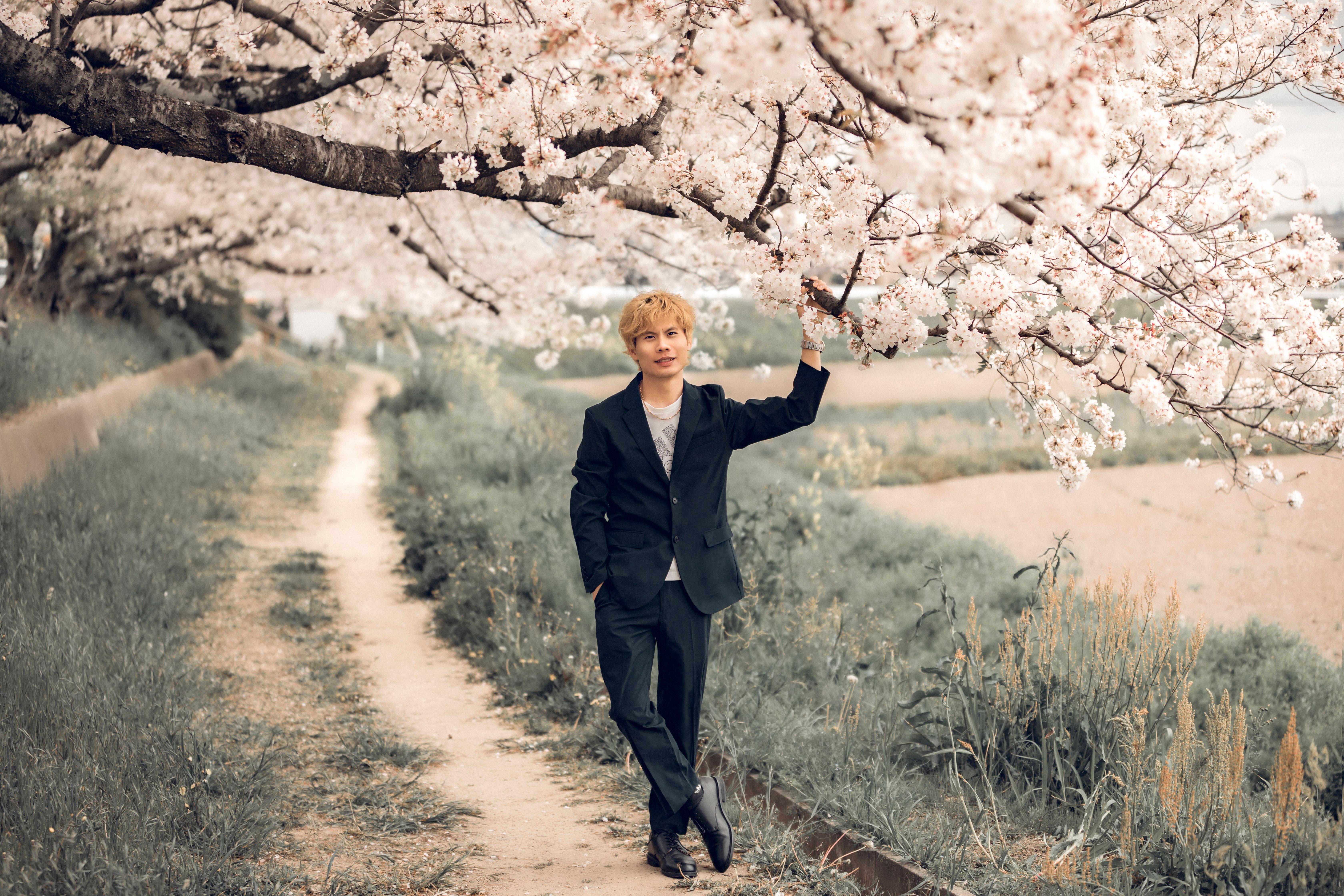 Stylish man standing under cherry blossoms on a rustic path in spring.