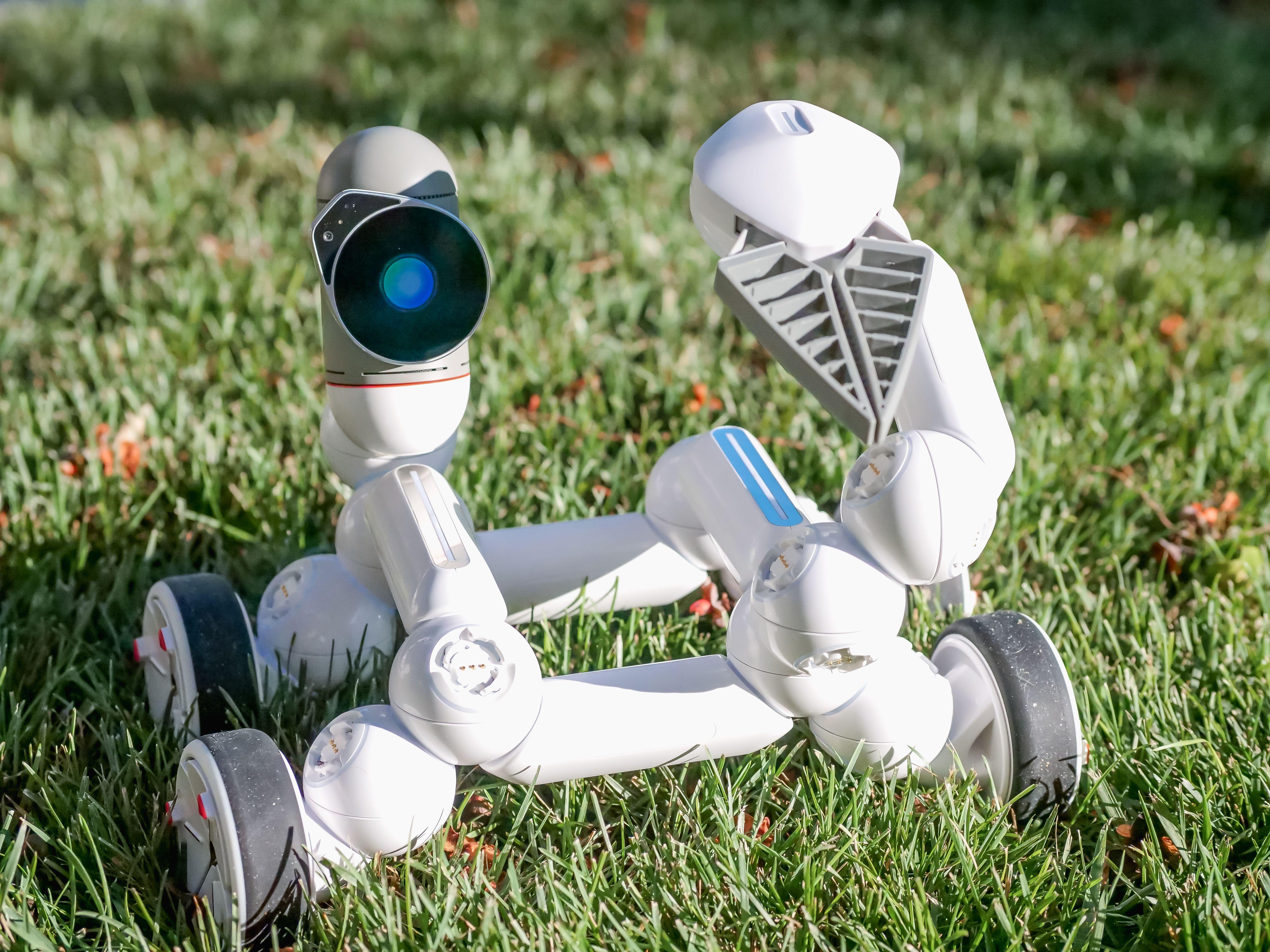 A modern robot with wheels exploring green grass, showcasing innovation and technology.
