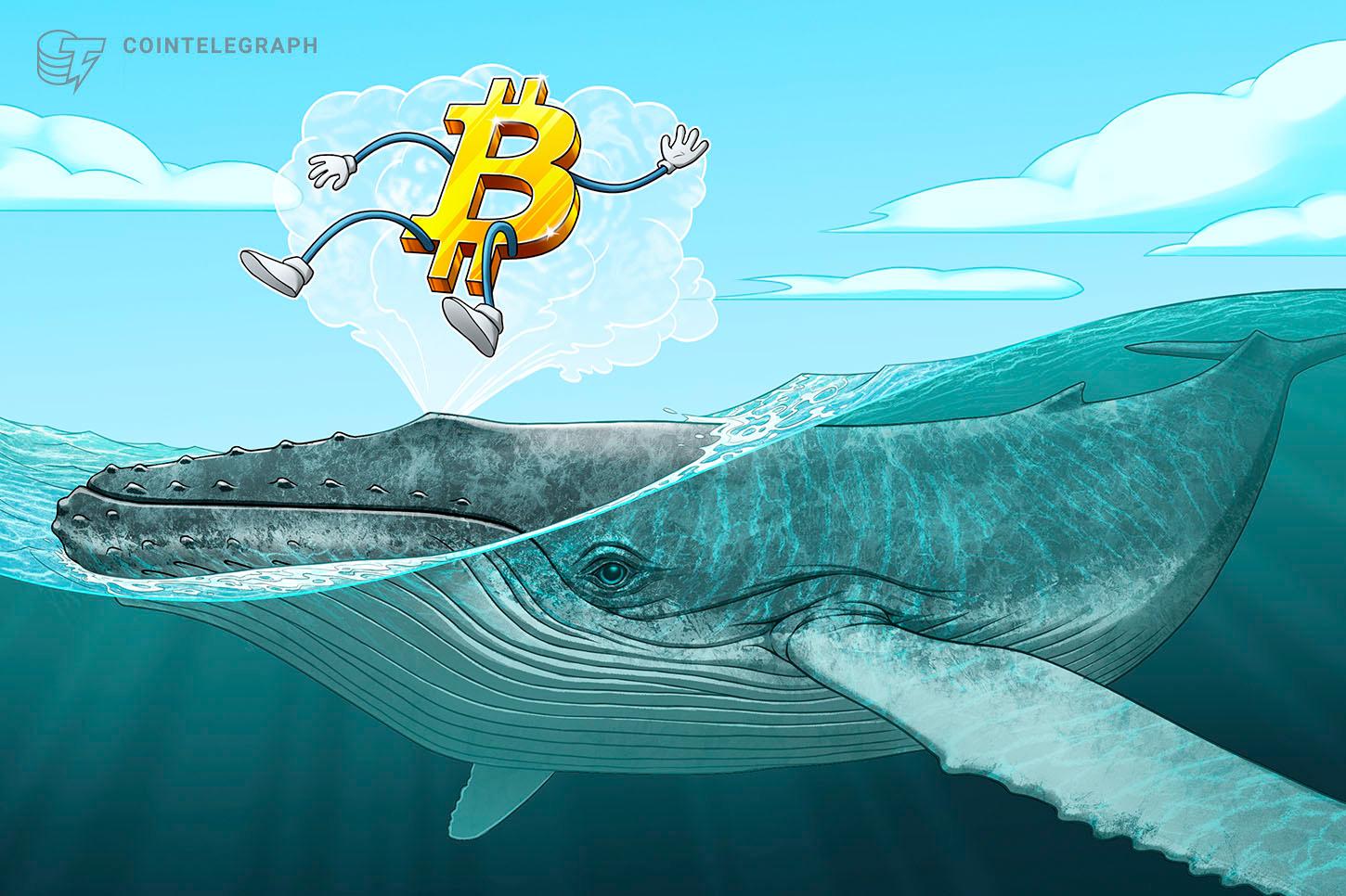 Bitcoin faces fresh capitulation risk as 50K BTC moved at a loss
