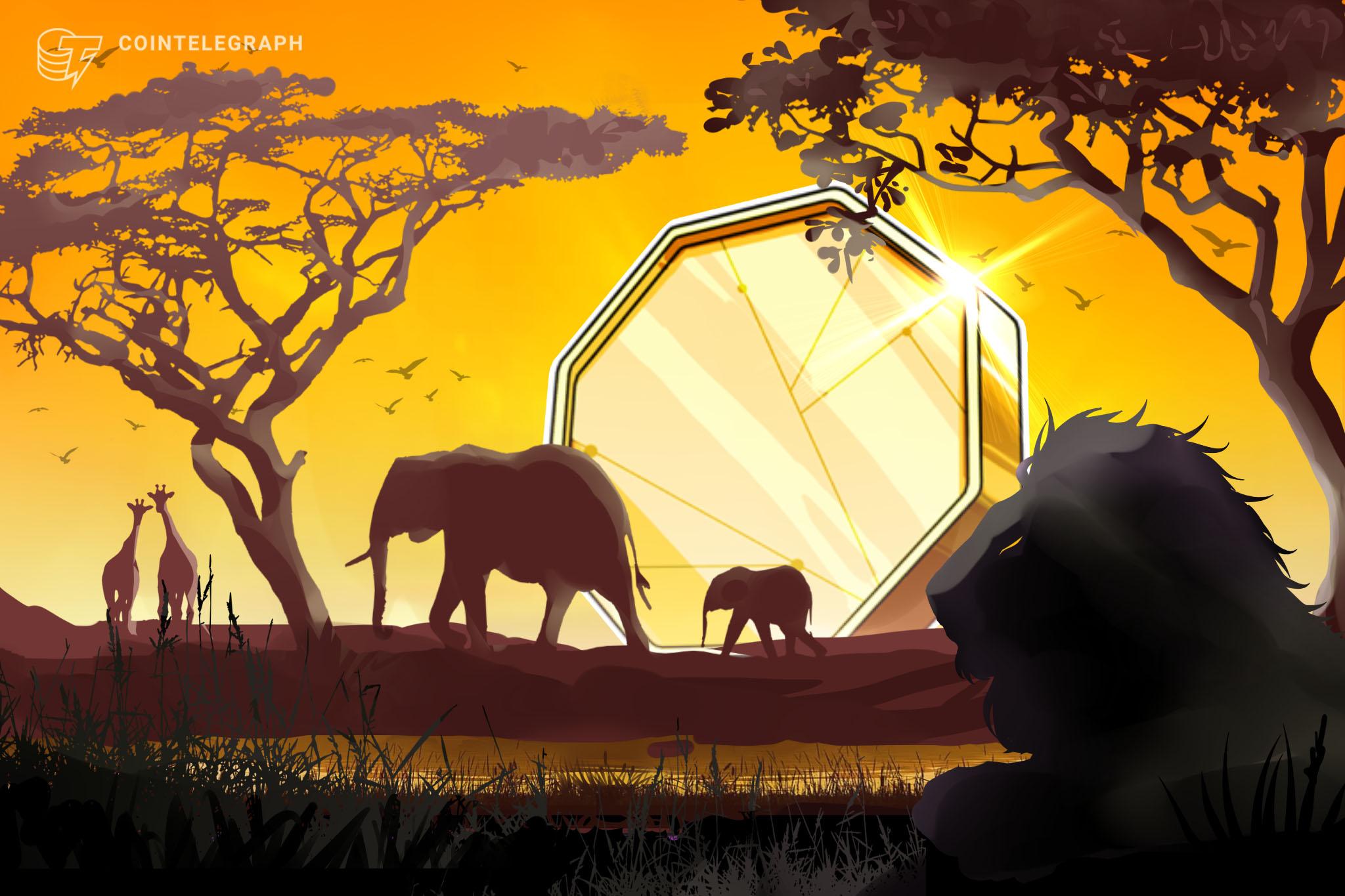 Zimbabwe admits 7 fintech projects to regulatory sandbox