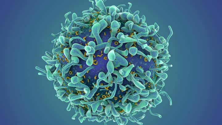 A revolutionary cancer treatment could transform autoimmune disease